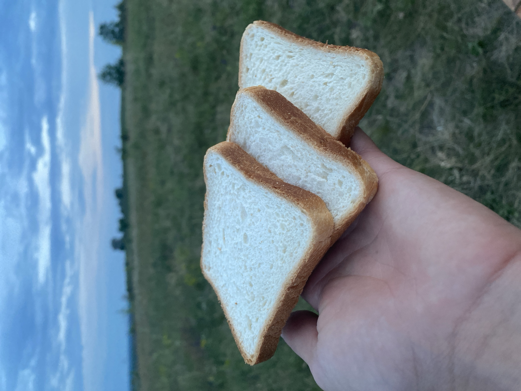 In Ustyvytsia, Ukraine, a human hand in the lower-left foreground holds three slices of white toast bread. The bread slices are arranged in a slightly overlapping manner, displaying golden-brown crusts and white interiors. The background is significantly out of focus, depicting an expansive grassy field under an overcast sky composed of blue and grey tones. The horizon line in the distance shows faint, indistinct shapes presumed to be trees or small structures. The scene is illuminated by diffused natural light, without evidence of direct sunlight.