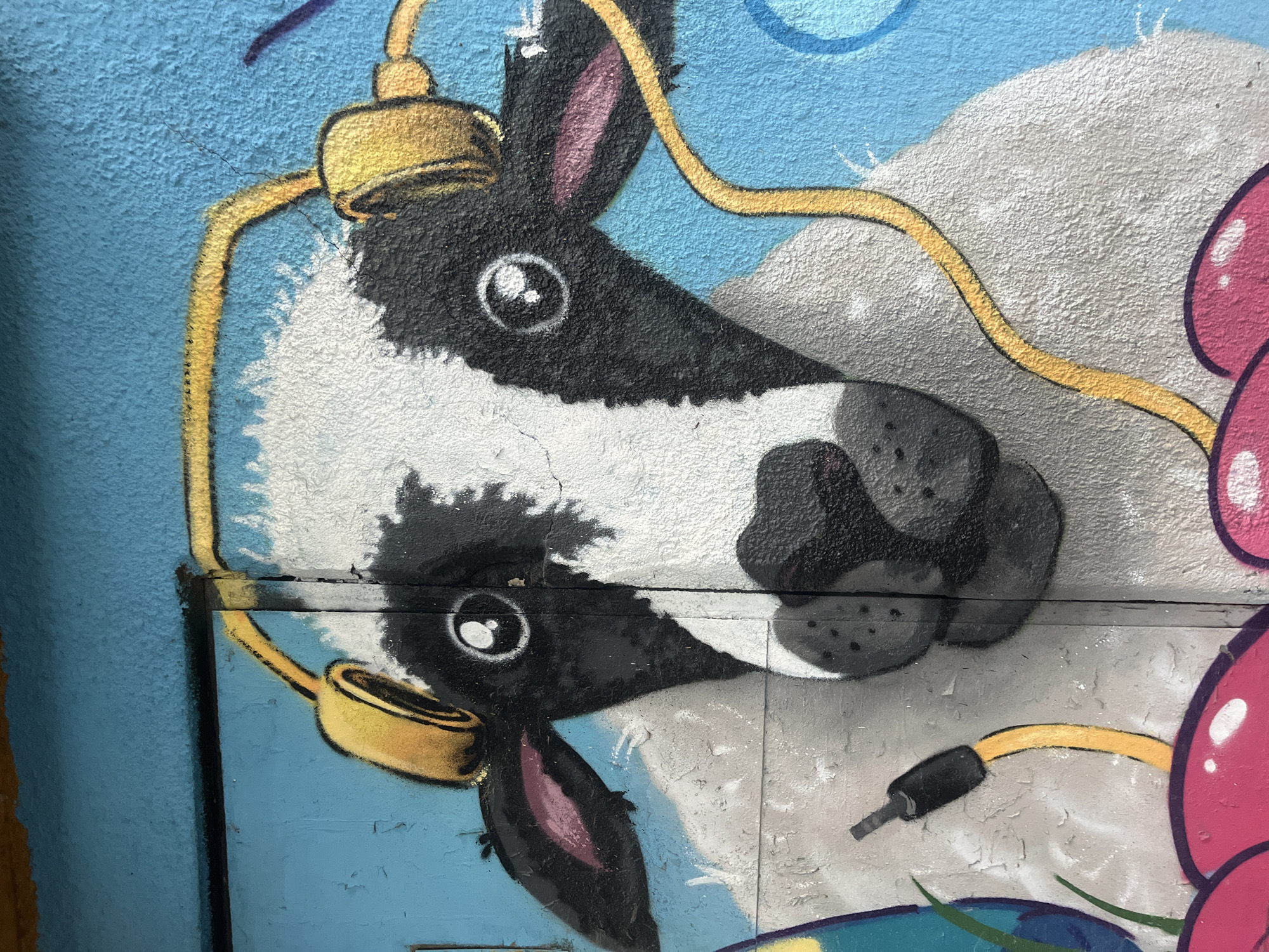 The image is a close-up of a mural on a wall in Varna, Bulgaria. The mural depicts the head of a black and white animal, possibly a cow or donkey, wearing yellow headphones. The background consists of blue and grey colors. The mural appears to be painted on a slightly weathered surface. A section of the wall is bisected by a horizontal line, which could be a seam or break in the wall. Parts of additional mural elements can be seen in the periphery, including a pink object.