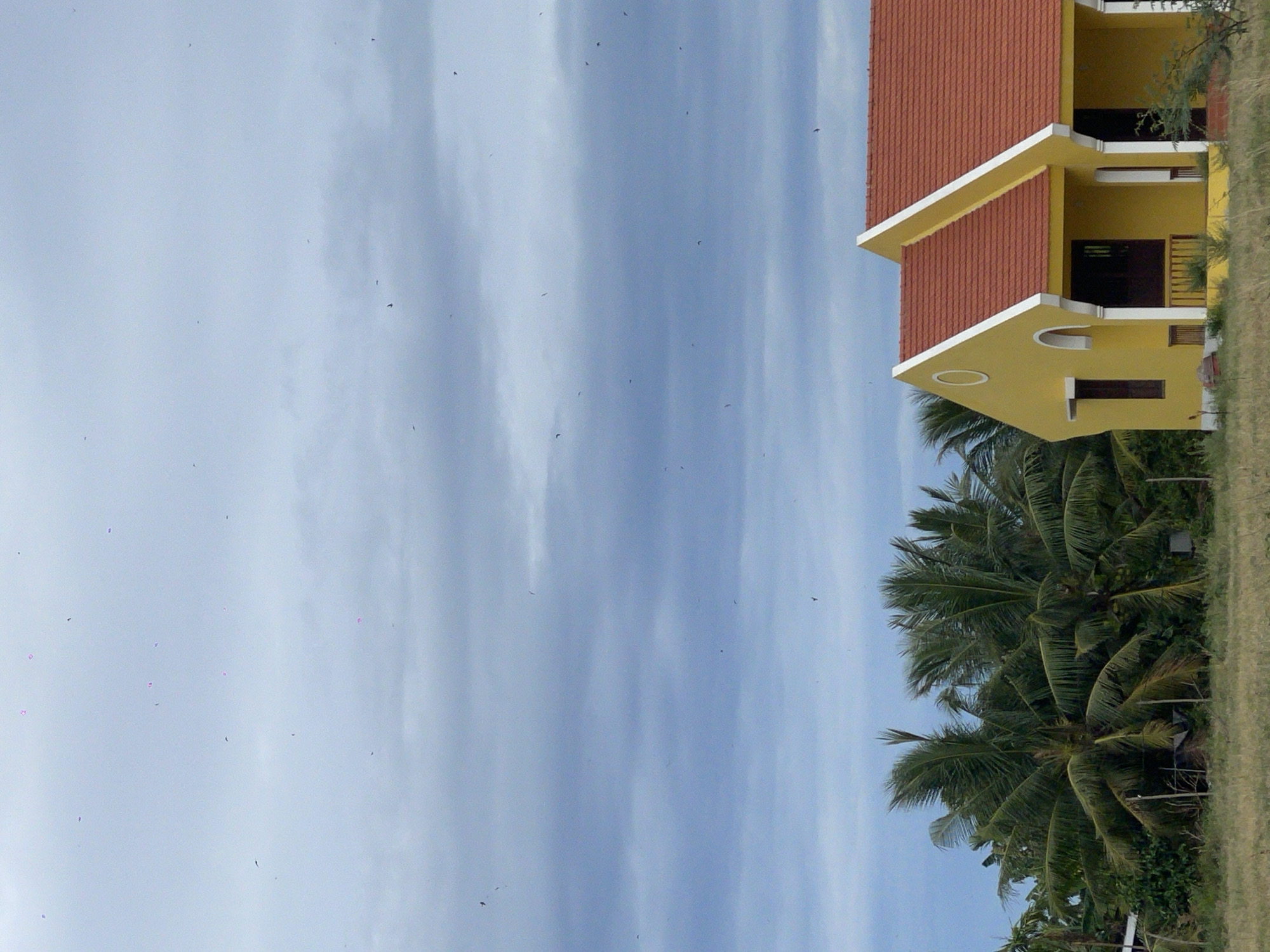 This image captures a bright yellow, single-story house with a red-tiled roof and white trim, located in Hoi An, Vietnam. The house features a distinctive gabled facade on the left with an arched window detail. To the right, a covered porch area is visible, supported by white columns. The house is situated in a rural or semi-rural setting, with lush green palm trees and other vegetation visible behind and to the left of the structure. In the foreground, dry grass and a patchy lawn are present. The sky is overcast with a layer of dark, cloudy material, and numerous small, dark specks are scattered throughout the sky, possibly birds or insects. The overall impression is a serene, somewhat isolated scene under a moody sky.