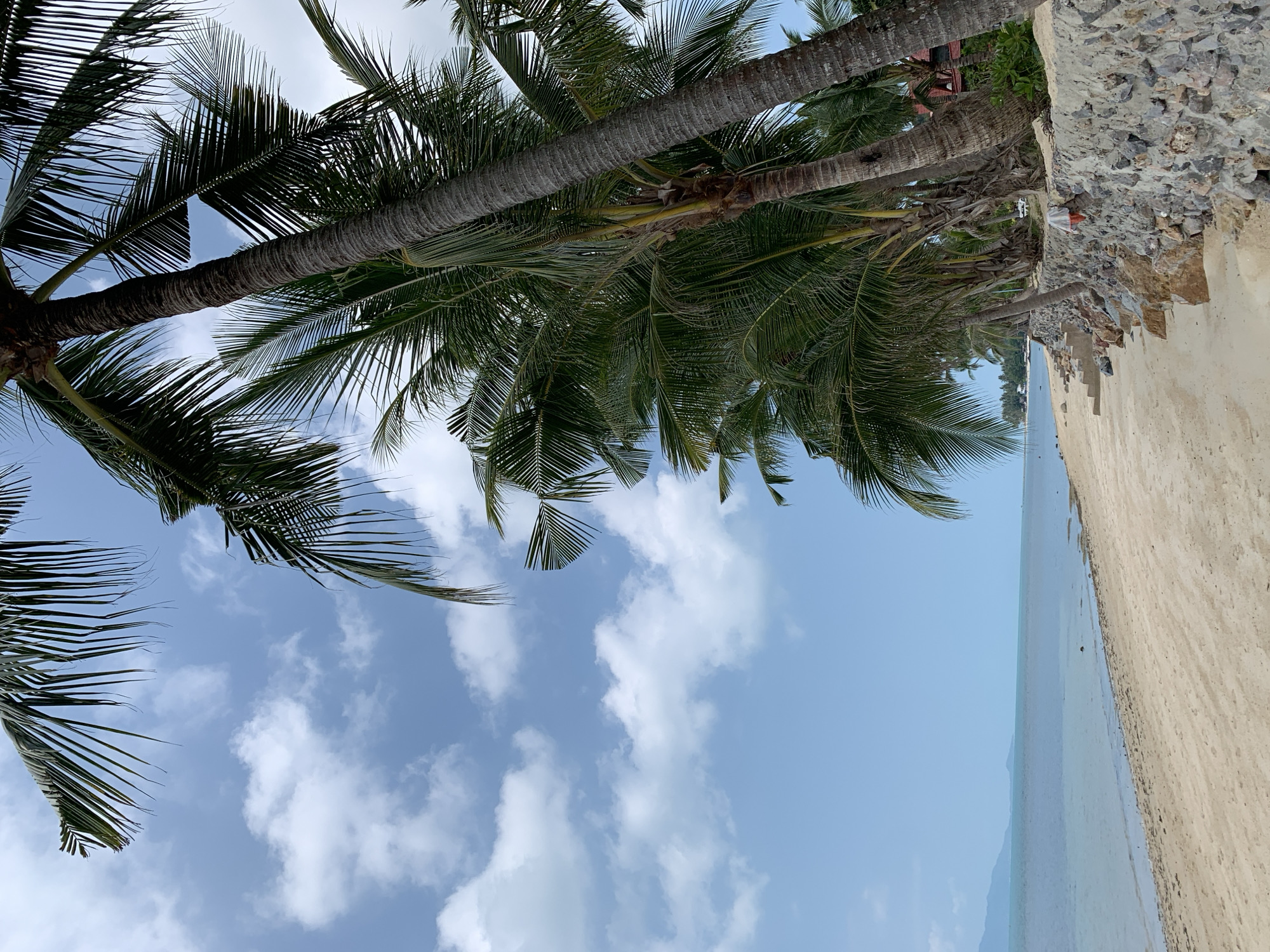 The image depicts a beach scene in Baan Tai, Thailand. Several mature palm trees are visible, their trunks parallel to the top of the frame and their fronds reaching towards a blue sky with scattered white clouds. Adjacent to the trees is a concrete wall with a rough, rocky texture. Below the wall is a sandy beach that meets calm, clear ocean water.