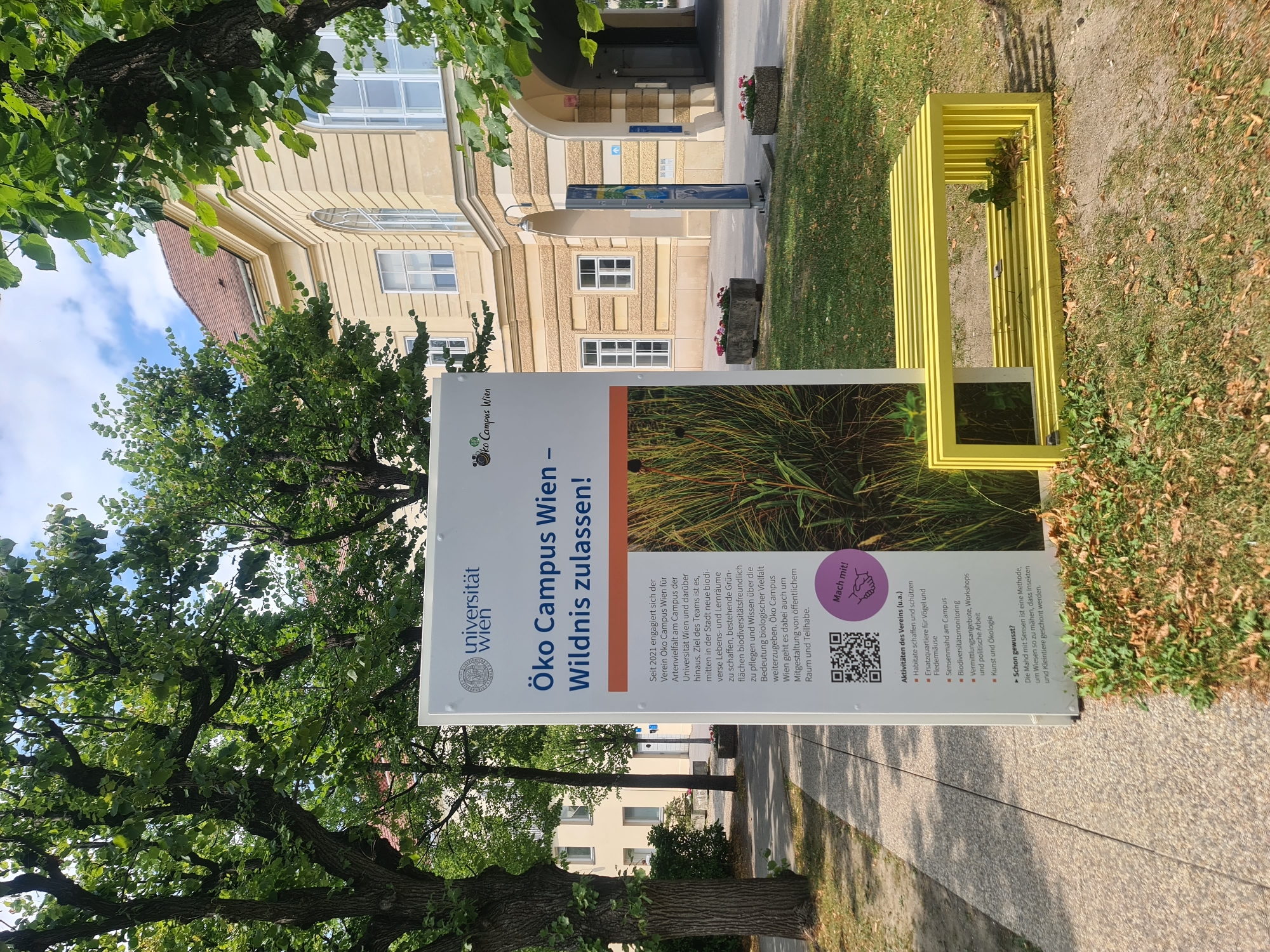 In Vienna, Austria, a tall, white information sign stands on a paved walkway, partially obscured by trees. The sign features the University of Vienna logo and text in German about "Öko Campus Wien – Wildnis zulassen!" (Eco Campus Vienna – Allow Wilderness!). It details activities such as habitat creation, biodiversity monitoring, and workshops. A QR code and a small graphic depicting hands shaking are also visible. To the right of the sign, a bright yellow, hollow bench is placed on a grassy area. In the background, a light-yellow building with arched entrances and large windows is visible, surrounded by trees and some potted plants. The scene is set outdoors on a sunny day.