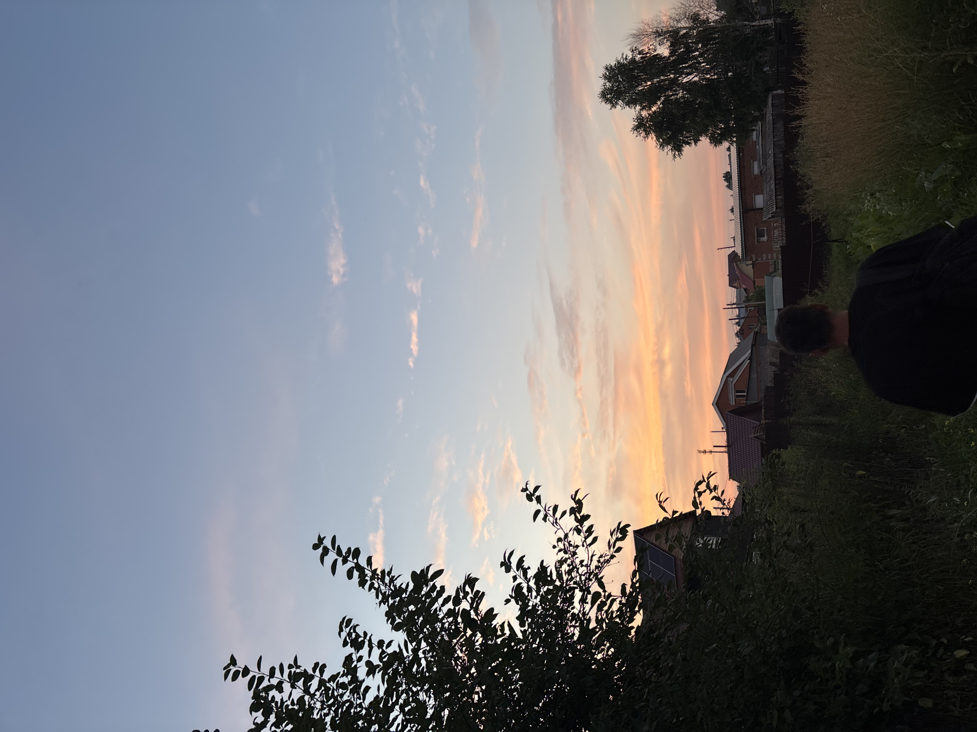 An outdoor, vertical, full shot captures a person from behind, walking away from the camera towards a rural residential area in Vishnevka, Russia, during sunset. The sky is a gradient of light blue at the top, transitioning to soft pink and orange hues closer to the horizon, with scattered, wispy clouds. A large tree with dark green leaves dominates the left side of the frame, its branches silhouetted against the colorful sky. Several houses with red-tiled roofs and dark siding are visible in the mid-ground, interspersed with patches of tall, dry grass and dark green foliage. The person, wearing a black t-shirt and carrying a dark bag over their shoulder, is walking on a path through the tall grass. The overall atmosphere is peaceful and serene, characteristic of a rural evening scene.