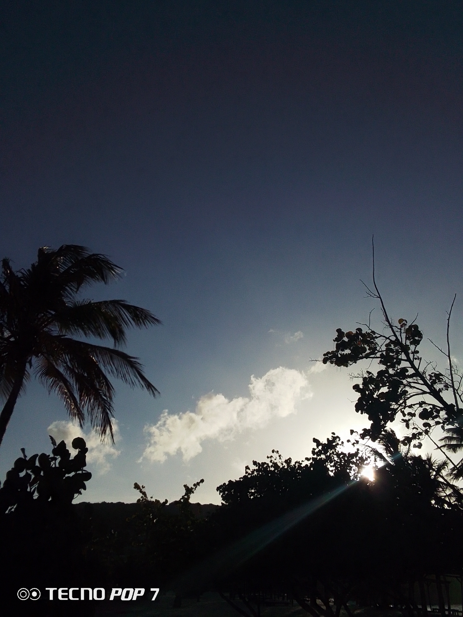 The image shows a silhouette of palm trees and other vegetation against a partially cloudy sky, likely taken at dusk or dawn. The bright sunlight is filtering through the trees, creating a strong contrast. The location is specified as Pedro González, Venezuela. The bottom left corner of the image includes the "TECNO POP 7" branding, suggesting the image was taken with that phone model.