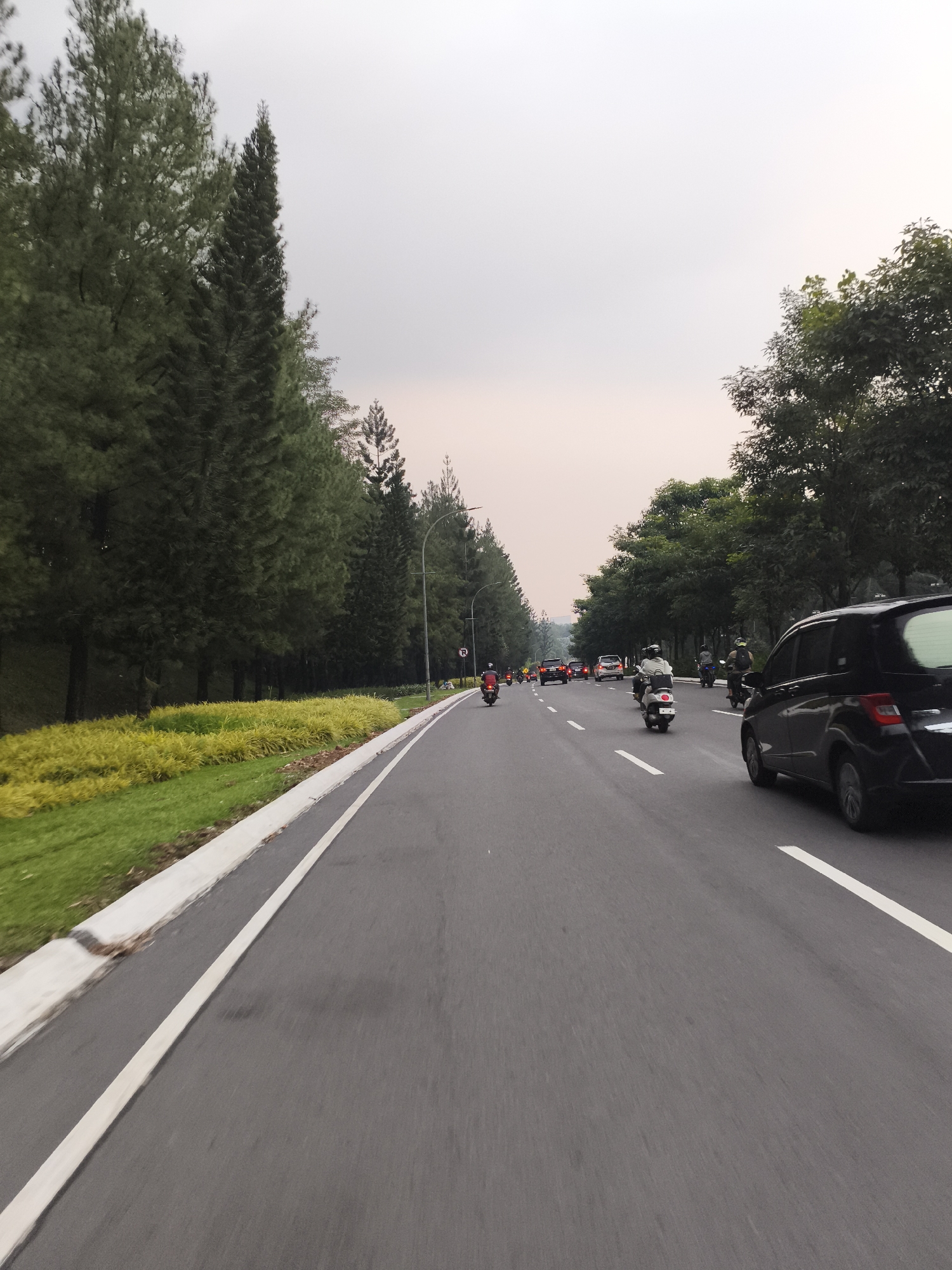 This media file captures a perspective from a moving vehicle on a multi-lane asphalt road in Babakan Madang, Indonesia. The road is populated by moderate traffic, primarily motorcycles and a few cars, all traveling in the same direction.
On the left, a wide median separates the lanes from a dense line of tall, dark green coniferous trees. The median itself features a vibrant strip of bright yellow-green ground cover against a backdrop of greener grass. On the right, a row of leafy deciduous trees borders the road. The sky is overcast and hazy, with a subtle warm, peach-like tint towards the horizon, hinting at either sunrise or sunset.
Prominent subjects include numerous motorcycles, many with riders wearing helmets, dispersed across the lanes. A black car is visible in the right foreground. A red motorcycle appears in the left lane, and a light-colored scooter is near the center of the road. In the distance, more vehicles can be seen.
The road features clear white lane markings and a concrete curb. A white circular sign with a red border and an indecipherable dark symbol, possibly an "R," is mounted on a pole on the right side of the road. The overall scene depicts a common commuting environment, characterized by both natural vegetation and busy road infrastructure under diffused natural light.