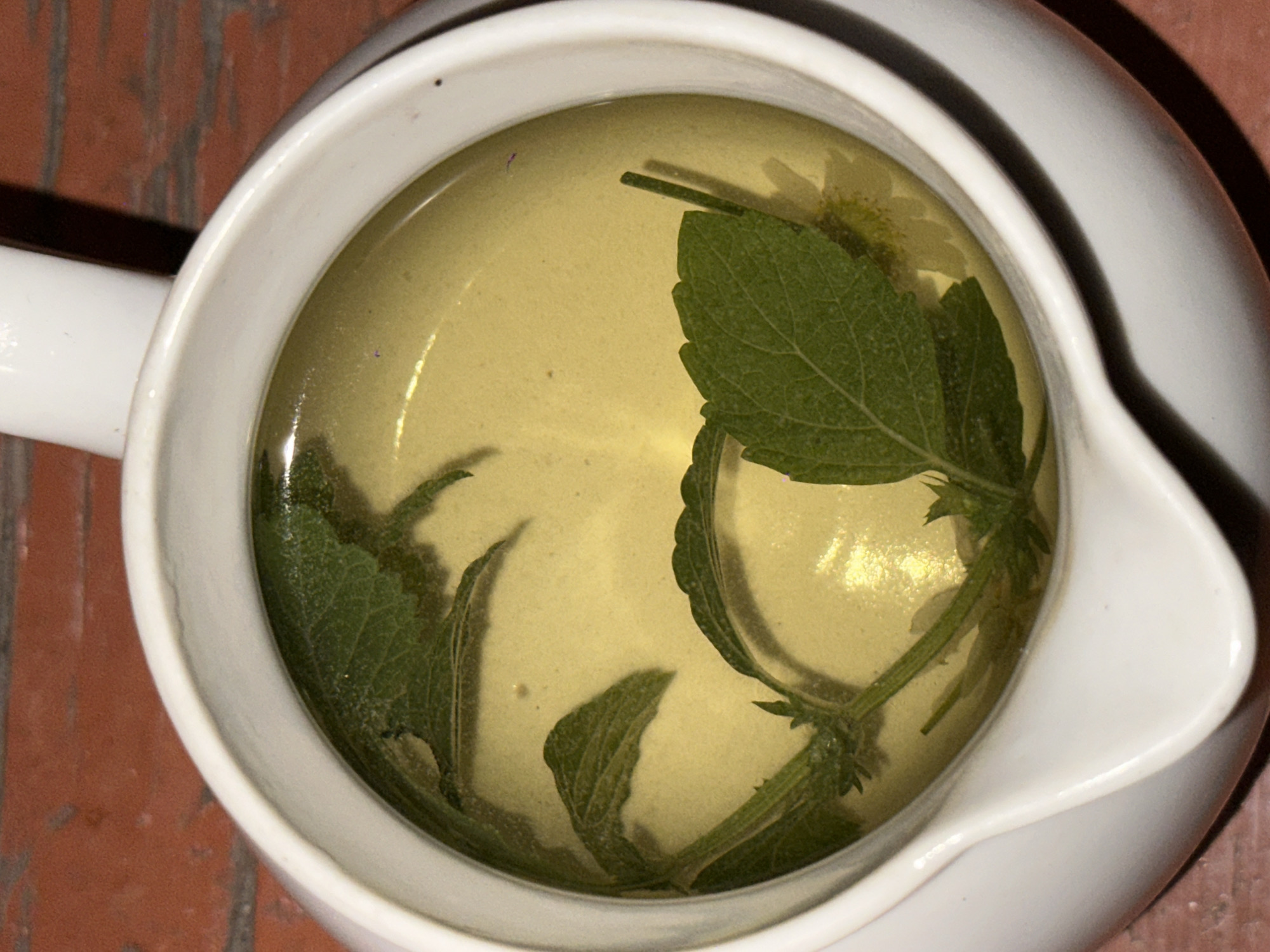 A close-up overhead view shows a white ceramic teapot filled with pale yellow herbal tea, in which several green sprigs of herbs are submerged. The tea surface is slightly disturbed, and a small yellow flower is partially visible in the liquid. The teapot rests on a surface with a reddish-brown, wood-grain texture, possibly a table. The image is cropped to focus on the teapot and its contents, with the background softly blurred. The scene appears to be indoors, with artificial lighting creating subtle reflections on the tea's surface. There are no people visible in the image. The image was taken in Biysk, Russia.