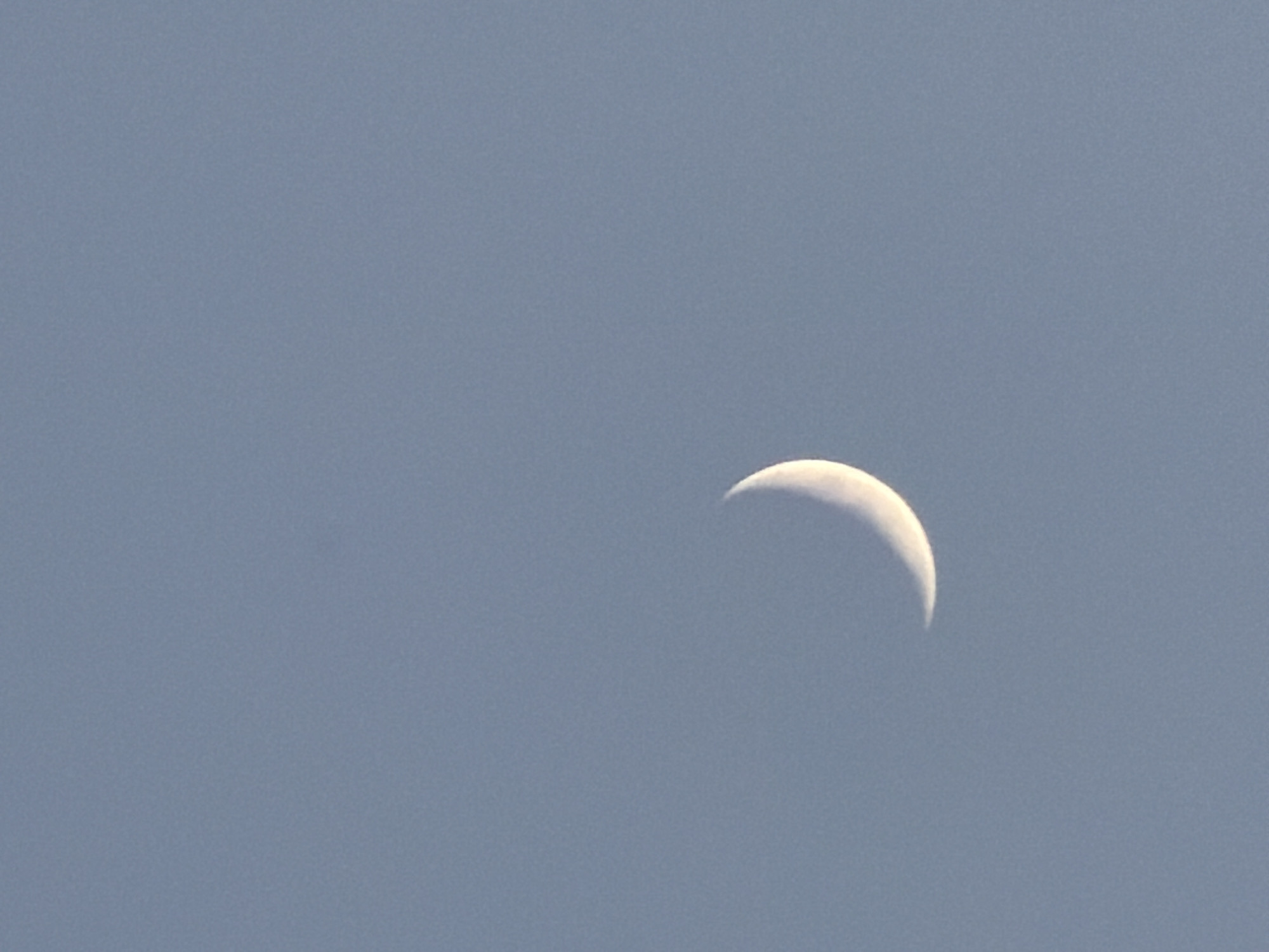 The image shows a crescent moon in a clear, pale blue sky. The moon is illuminated on its left side and appears to be in its waxing phase. There are no other celestial bodies or objects visible in the sky. The sky is a uniform color with a slight gradient, suggesting it might be daytime or twilight. There are no signs of urban or natural landscapes, indicating that the photograph was taken from a location with an unobstructed view of the sky. Without any identifiable landmarks or context, it is impossible to determine the specific location within Sofia, Bulgaria. The image focuses solely on the moon and the sky.