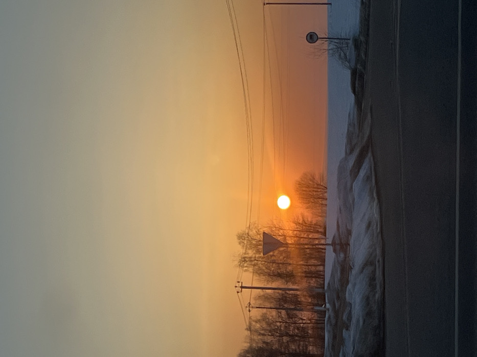 The image displays a wide-angle view of an outdoor scene in Подчерково, Russia, characterized by a low sun near the horizon during either sunrise or sunset. The sky transitions from a deep orange at the horizon to a lighter yellow-orange and then a pale blue-grey at the top. The sun, a bright, clear orange-yellow orb, is prominent in the mid-right.
In the foreground, a dark asphalt road with visible lane markings occupies the lower portion of the frame. Immediately adjacent to the road, particularly on the right side, are banks of melting snow with patches of dirt and debris. Beyond the road and snow banks, a flat, expansive field covered in snow stretches towards the horizon on the right.
On the left side of the mid-ground, a line of bare deciduous trees stands against the bright sky. Several utility poles with multiple overhead power lines traverse the scene, extending horizontally across the mid-section. Two distinct traffic signs are visible: an inverted white triangle with a red border (a "Give Way" or "Yield" sign) is positioned near the center-left, and a round white sign with a red border and an indecipherable black pictogram is located further right, partially obscured, near another utility pole in the snow-covered field. No people, subjects, actions, or interactions are visible within the frame.
