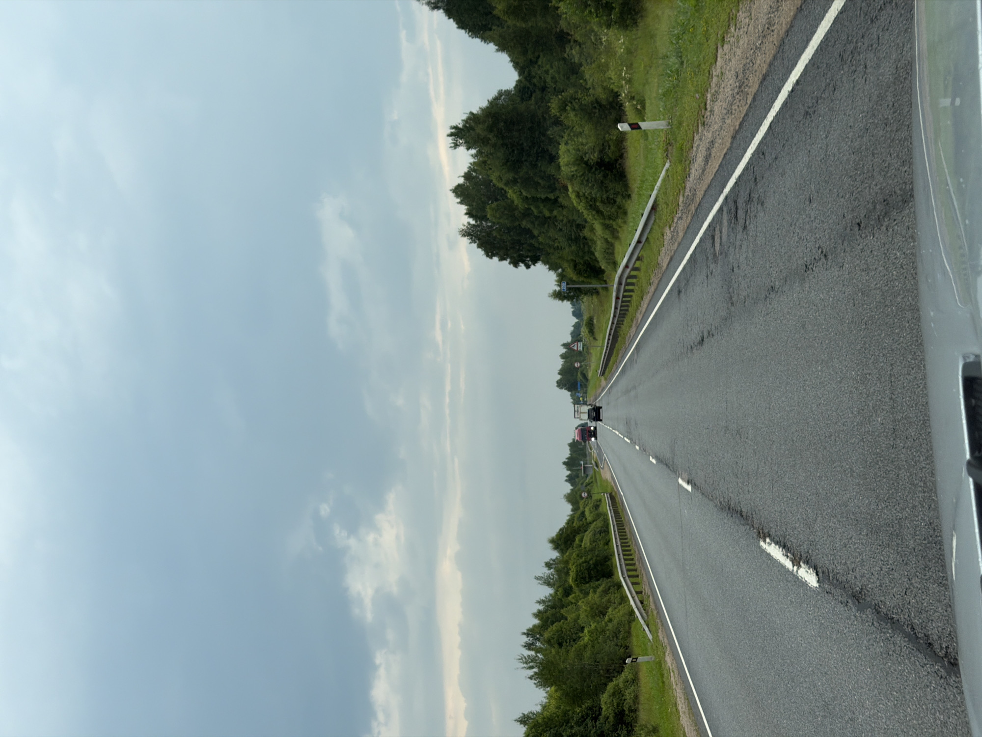 The image shows a road with a cloudy sky above. The road is asphalt and has white lane markings. On the sides of the road, there are guardrails and vegetation, including trees and grass. There are also road signs and markers visible. In the distance, there are two vehicles on the road, a red truck and a black car. The scene appears to be in a rural or semi-rural area. The image was taken from inside a vehicle, as evidenced by the dashboard visible at the bottom of the frame. There are no people clearly visible in the image. The location is Roikino, Russia.