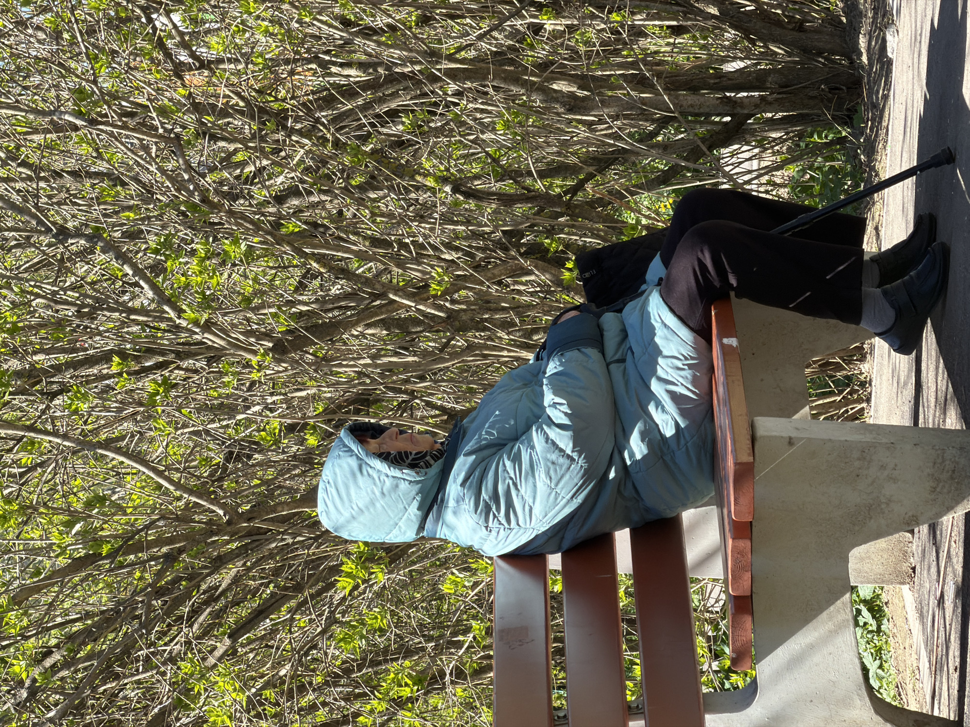 A person wearing a light blue quilted jacket with a hood is seated on a park bench with wooden slats and concrete supports. They are wearing dark-colored pants and black shoes, and a cane rests beside them on the pavement. A dense bush with budding green leaves is behind the bench. The photograph was taken in Koltushi, Russia.