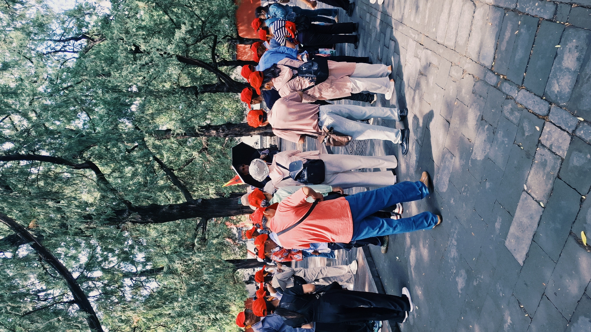 A line of people stand on a gray stone sidewalk near a row of trees. The individuals are wearing red hats. The scene appears to be in an outdoor setting. The image appears to be taken in Haidian District, China.