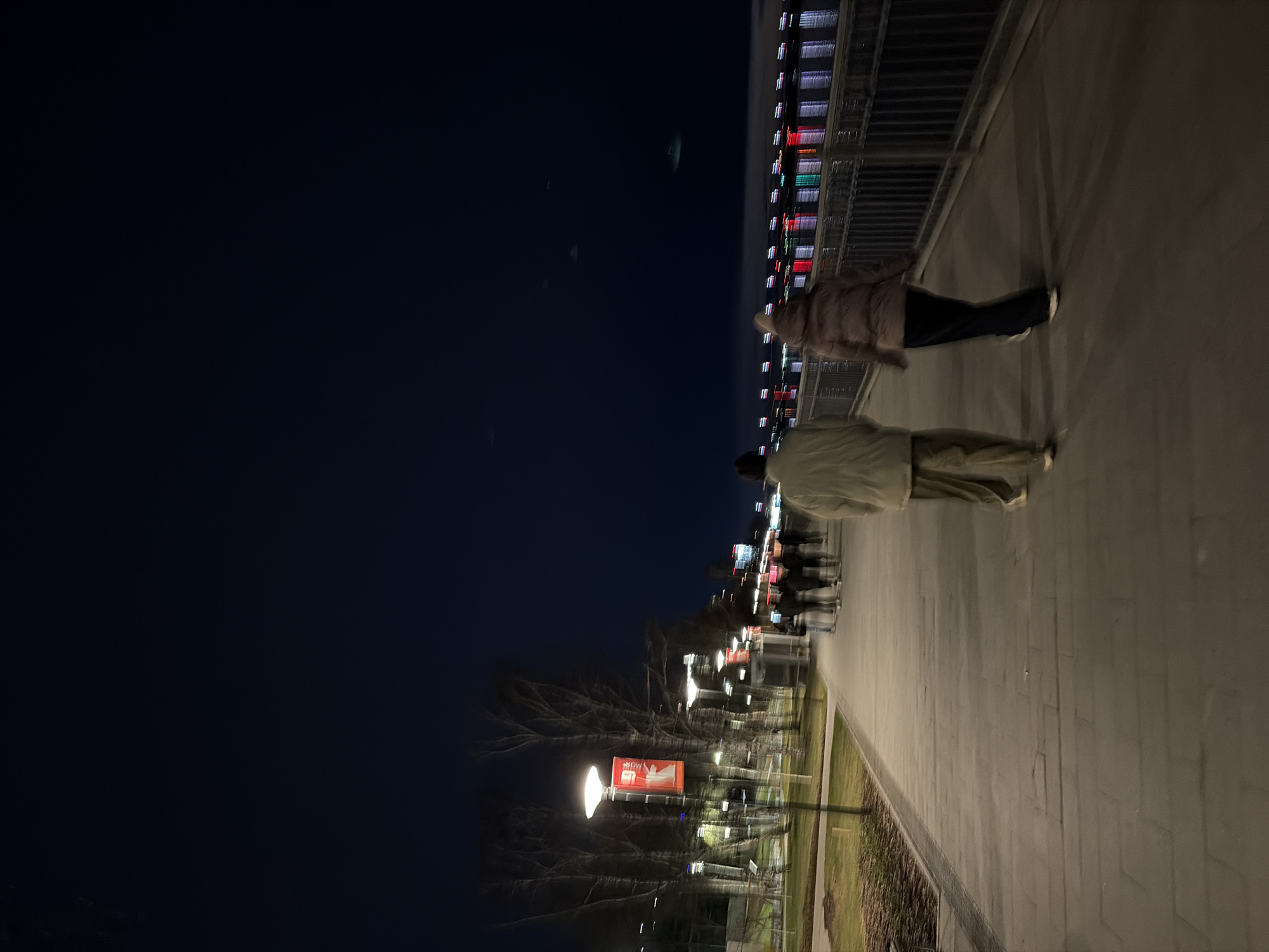 The image captures an urban street scene at night, oriented vertically with the sky on the left and the ground on the right. When viewed correctly (rotated 90 degrees counter-clockwise), a wide paved walkway or path extends from the foreground into the distance on the right side of the frame. To the left of the walkway is a narrow strip of grass and several bare trees, suggesting a winter or late autumn setting.
Two individuals are prominently featured, walking on the paved surface towards the background. Both appear blurred, indicating motion. The person closer to the viewer wears a light-colored coat and pants, while the person behind them wears a darker jacket and dark pants with white shoes. Other indistinct, blurred figures are visible further down the walkway.
On the far right, a tall building with numerous brightly lit windows, displaying various colors including red, green, blue, and white, lines the walkway. Streetlights with warm glows illuminate the path at regular intervals, casting light onto the ground and subjects. One lamppost on the left side of the walkway features a red rectangular banner with partially visible text, possibly "SHOW" or similar, blurred by motion. The sky is dark, indicating nighttime. The overall scene suggests a bustling city environment during the evening.