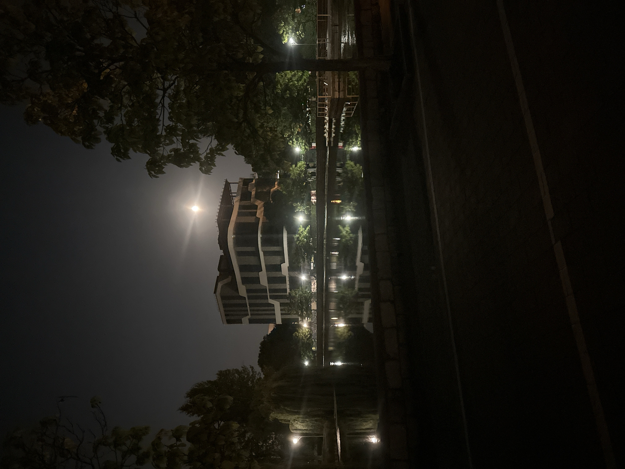 A nighttime scene depicts a modern building with a distinctive architectural style, characterized by its layered facade of alternating light and dark sections. The building is situated across a body of water, possibly a pond or lake, which reflects the lights from the building and surrounding streetlights. The water's surface is calm, with the reflections appearing slightly distorted.
On the left side of the frame, there is a weeping willow tree with its branches hanging low towards the water. Several streetlights illuminate the area, casting pools of light on the water and surrounding vegetation. On the right, a large tree with dense foliage partially obscures the view of the building.
In the background, beyond the water, there are more trees and what appears to be a walkway or seating area with a railing. The sky is dark, indicating nighttime, and there is a bright moon or strong light source visible in the upper center of the image, casting a glow. The foreground shows a dark asphalt surface, likely a road or path, with a white line marking its edge.
The overall impression is one of a serene, urban landscape at night, possibly a park or public space adjacent to the building. The image does not contain any people or animals.
This location is likely the Ternopil National Economic University campus in Ternopil, Ukraine, given the architectural style of the building and the presence of a pond and landscaped areas.