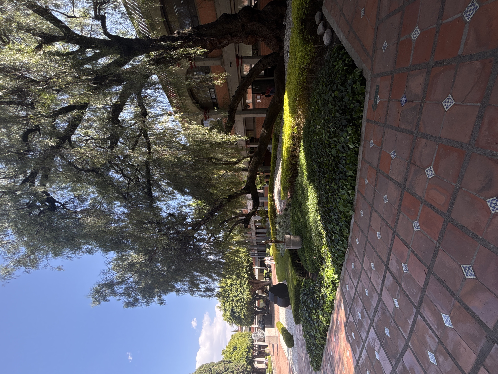 This image depicts an outdoor courtyard on the campus of Universidad de las Américas Puebla (UDLAP) in San Andrés Cholula, Mexico, under clear, bright daylight. A large, mature tree with weeping foliage dominates the right side of the frame, its thick trunk anchored on the far right and a substantial lower branch extending horizontally over a landscaped garden. This garden features dense dark green ground cover, bright green low-lying shrubs, and areas of light-colored gravel, positioned between the tiled pathway and the main building.
The background consists of a multi-story campus building constructed with reddish-brown brick, featuring numerous rectangular windows with dark frames and a tiled roof. Upper sections of the building display arched architectural elements. The foreground is paved with a reddish-brown terracotta tiled path, interspersed with smaller, diamond-shaped white and blue decorative tiles arranged in a grid pattern.
Within the courtyard, several modern abstract sculptures are present: a large, dark, organic-shaped sculpture rests centrally in the midground, while a lighter-colored, circular or spiral sculpture on a pedestal is visible further back to the left, and a smaller, vertical abstract sculpture on a pedestal appears to the right of the large dark piece. Three individuals are visible; two are walking together in the mid-left portion of the courtyard, and one person is partially obscured beneath the large tree near a building entrance on the right. Sunlight casts distinct shadows across the scene.