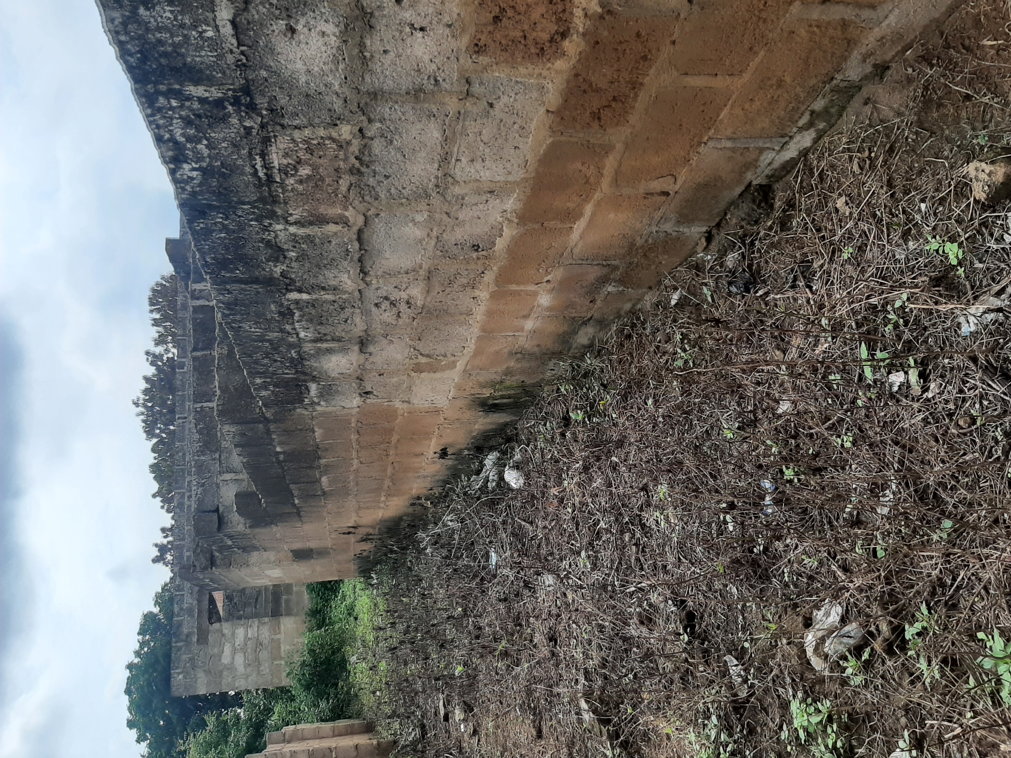 The image displays an outdoor scene, likely in Ogbomosho, Nigeria. The foreground is dominated by a densely overgrown area of dry, tangled vegetation, interspersed with a few small green shoots. Scattered within this undergrowth are several pieces of white plastic litter, suggesting human presence and waste.
A prominent brick wall runs diagonally across the frame, separating the overgrown ground from the sky. The wall appears old and weathered, with sections showing darker stains and some crumbling. The bricks themselves are a mix of tan and grey tones.
Beyond the wall, more vegetation is visible, including lush green trees. In the background, parts of a stone or concrete structure can be seen, possibly another wall or the remains of a building. The sky above is overcast with grey clouds, indicating a cloudy or potentially rainy day. The lighting suggests it is daytime. No people are visible in the image, and no text is present. The overall impression is one of neglect and overgrowth in a semi-urban or rural setting.