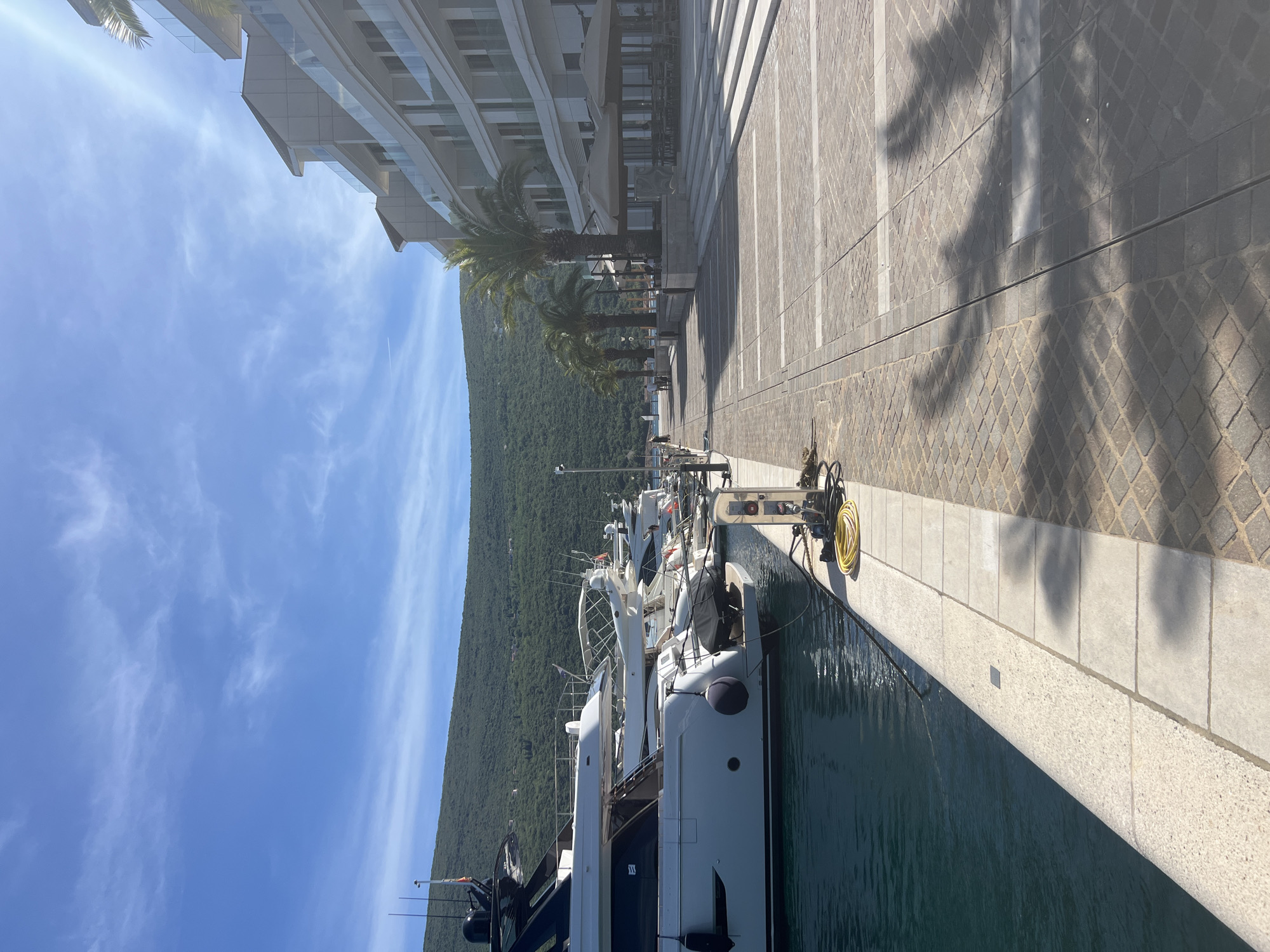 The image captures a marina scene in Herceg Novi, Montenegro. The sky is blue with scattered clouds. A building lines the left side of the walkway, along with a row of palm trees, and a mountainside filled with dense vegetation can be seen in the background. The walkway is made of light gray stone and has shadows cast upon it. Moored boats fill the right of the frame.