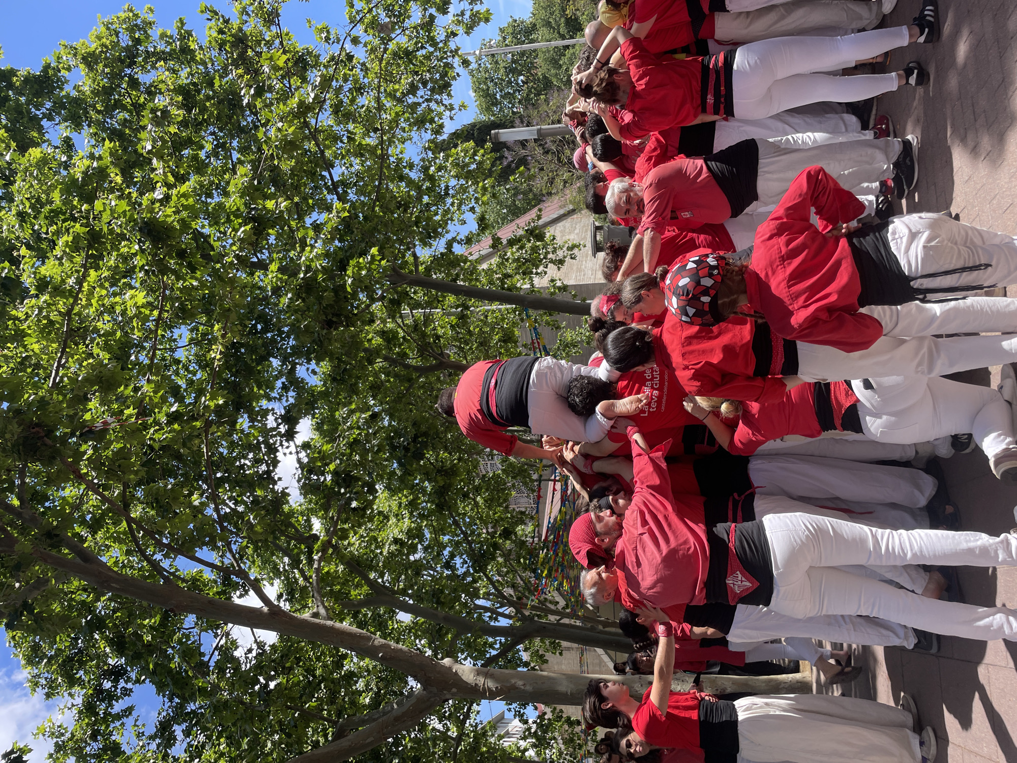 A vertical, medium outdoor shot depicts a human tower (Castellers) event in Barcelona, Spain. The tower comprises multiple tiers of people in red shirts and white pants. The base, or "pinya," consists of a dense group of people supporting the structure. Several tiers of "castellers" are above, holding each other up. The tower extends several levels high, with individuals climbing onto the backs and shoulders of those below them. The background shows lush trees with green leaves and patches of blue sky. The ground appears to be a paved area.