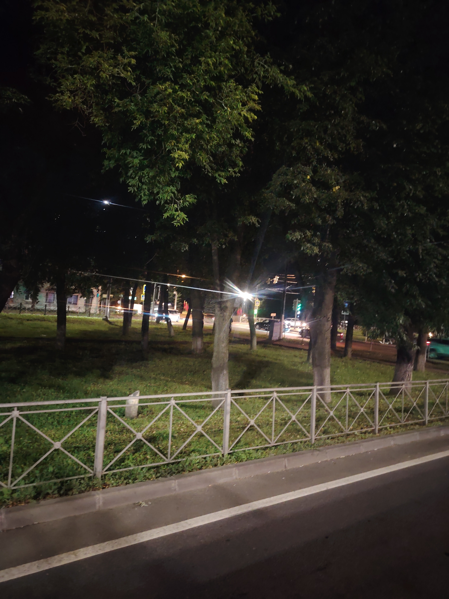 The image shows a nighttime street scene with trees lining a grassy area that is separated from the road by a metal fence. Streetlights and car headlights illuminate the scene, with several vehicles visible on the road. Buildings can be seen in the background. The image appears to have been taken from across the street, looking towards the trees and buildings. The overall impression is of a quiet urban environment at night. The location is the city of Klin, Russia.