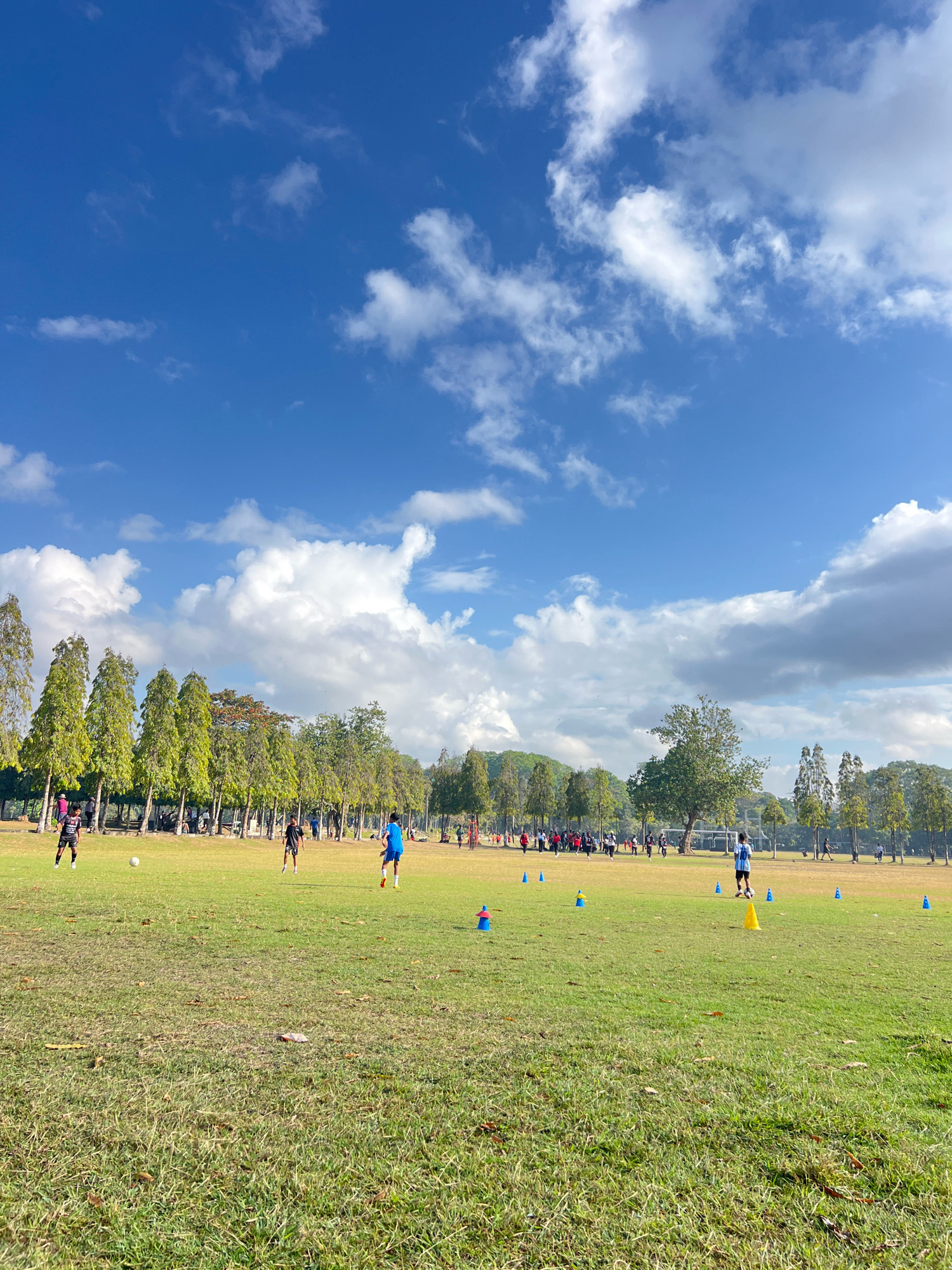 The image depicts a soccer practice session taking place on a large, grassy field. The field is marked with several blue and yellow cones, suggesting a training exercise or drill. In the background, a line of tall, slender trees stands along the edge of the field, with a few scattered trees closer to the foreground. Beyond the trees, a hazy landscape is visible. The sky is a vibrant blue, dotted with fluffy white clouds. Several individuals, mostly young males, are spread across the field, some engaged in kicking a soccer ball, while others appear to be running or observing. The overall scene suggests an outdoor sports activity in a park or a designated sports area. The presence of numerous trees and the open grassy expanse are characteristic of many public spaces in Denpasar, Indonesia, likely a sports field or recreational area within the city.