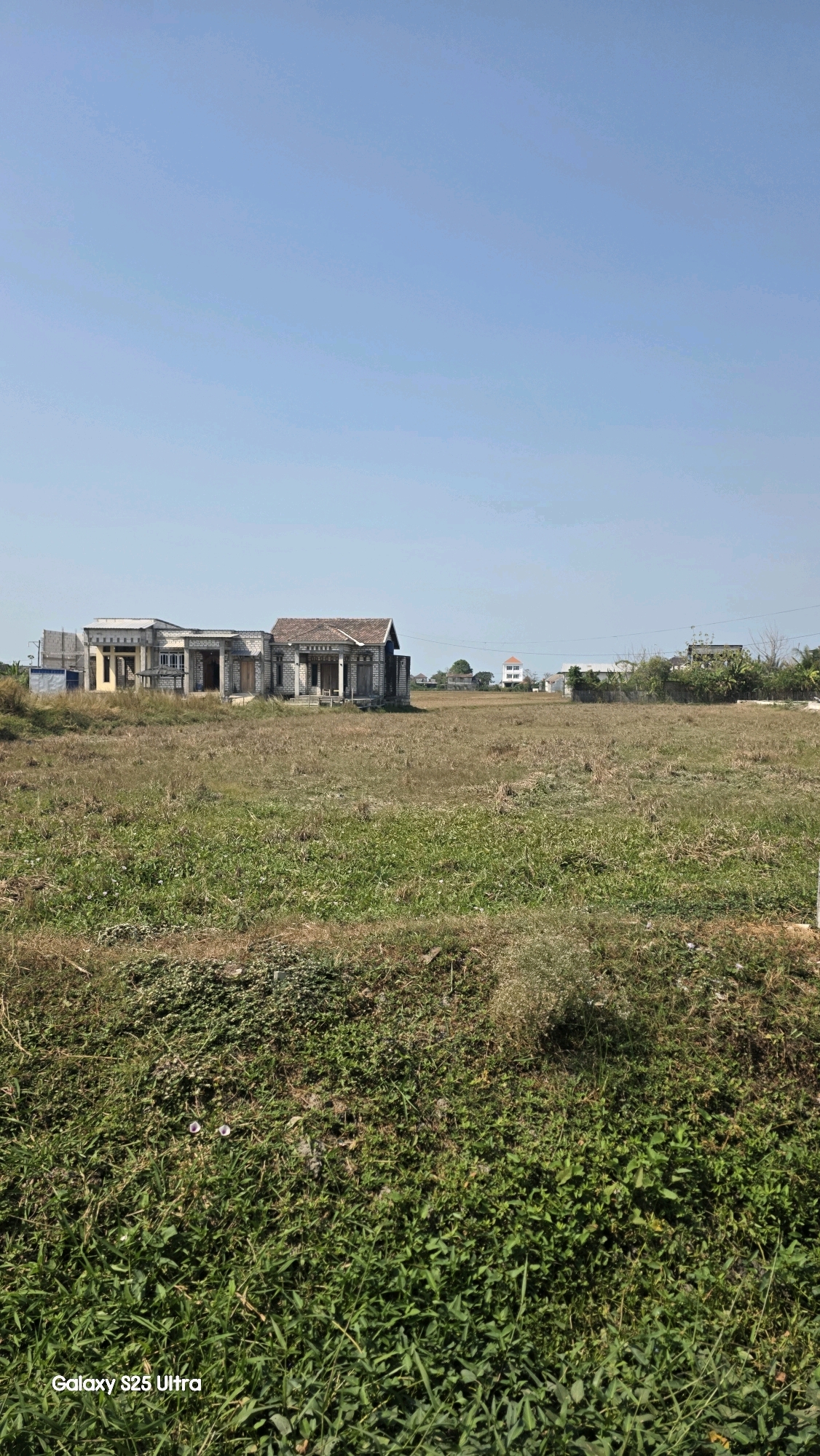 The image shows a wide shot of an undeveloped plot of land on a clear day, with a bright blue sky. In the mid-ground, there are two connected, unfinished buildings, appearing to be houses, with visible brickwork and columns. The buildings are surrounded by dry, brown grass and some green vegetation. In the background, there are more buildings, including what appears to be a small white house with a red roof and other structures, suggesting a partially developed area on the outskirts of a town or city. The foreground is dominated by dense green grass and some lower-lying plants. The text "Galaxy S25 Ultra" is visible in the bottom left corner of the image, indicating it was taken with that device. The scene is devoid of people or any signs of activity. This location is identified as being in Juwana, Indonesia.