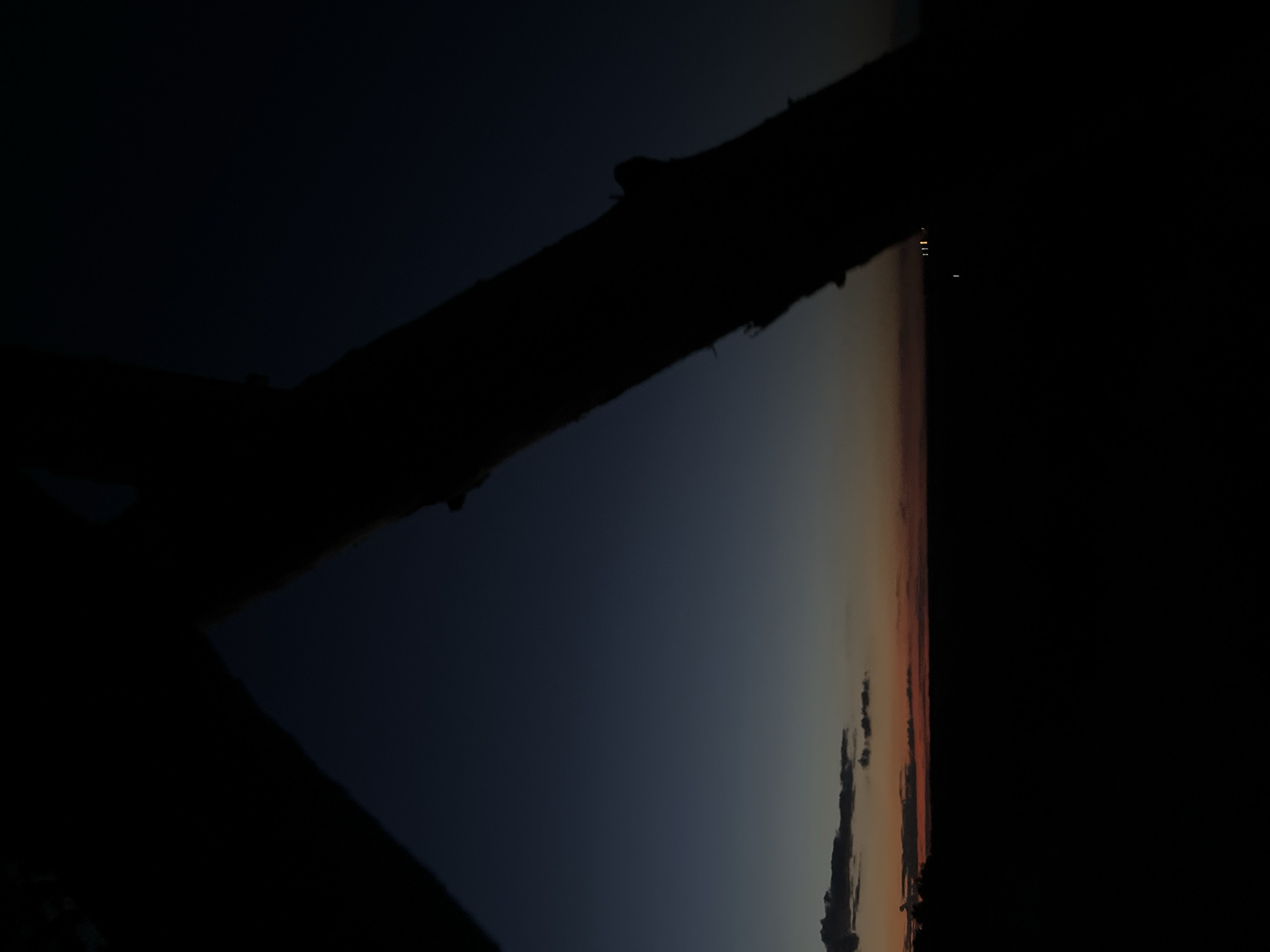 The image depicts a twilight scene, likely in the city of Ustyvytsia, Ukraine. The sky is a deep navy blue, transitioning to lighter shades of orange and red near the horizon, indicating either sunrise or sunset. Silhouetted against the sky are two large, dark, tree-like structures or branches in the foreground, obscuring a significant portion of the view. One is on the left, a sharp diagonal line, and the other is on the right, a thicker, more textured shape angled across the frame. Below the horizon, the landscape is almost entirely black, suggesting a flat terrain, possibly fields or open land. Faint, distant lights are visible on the horizon line to the right, possibly indicating urban development or streetlights. The overall impression is one of stillness and transition, with the natural elements of the sky and trees dominating the scene. There are no visible people or animals.