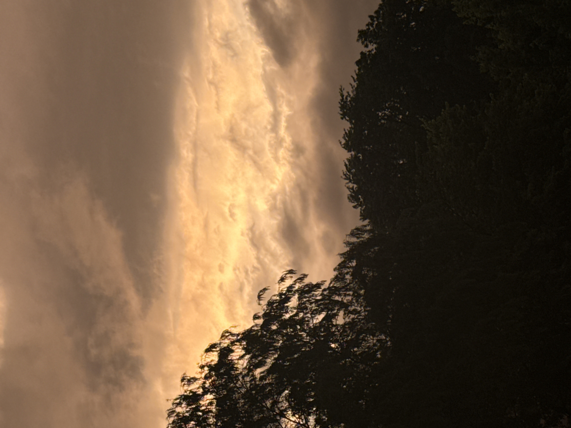The image shows a silhouetted tree line against a dramatic, cloudy sky illuminated by the golden hues of sunset or sunrise. The trees are dark and dense, forming a distinct horizontal line across the bottom of the frame. Above the tree line, the sky is filled with thick, textured clouds, ranging from deep gray to bright orange and yellow where the light is most intense. The overall mood is atmospheric and somewhat moody due to the lighting and cloud cover. The location is unspecified within Glendale Heights, United States of America, but the scene depicts a natural landscape likely on the outskirts of urban development. There are no people or discernible human activity present in the image.