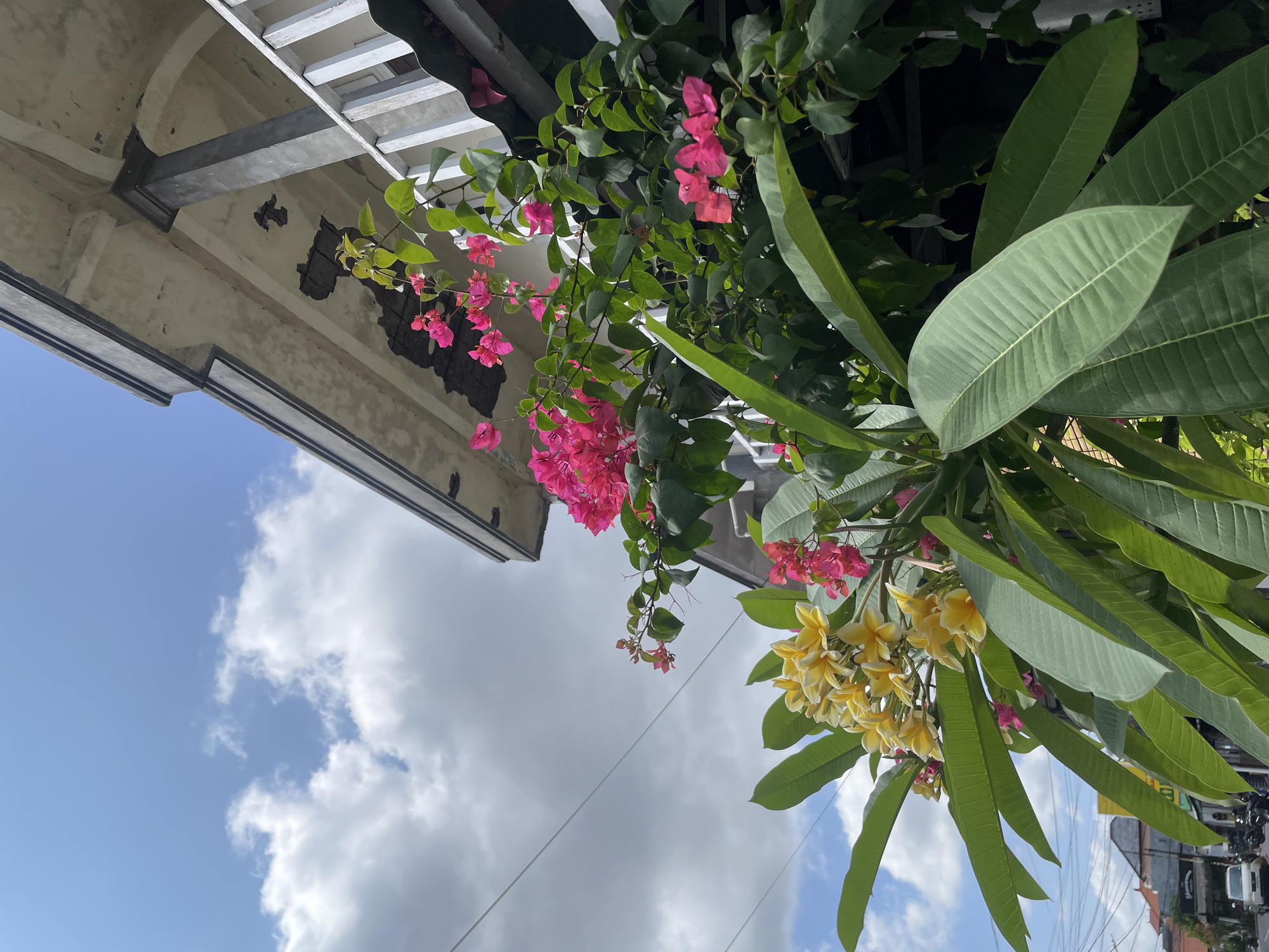A low-angle shot depicts a building facade with a metal and white wooden frame structure. Pink bougainvillea flowers and green foliage hang over the edge. Yellow plumeria flowers are visible. The sky is blue with white clouds. The location is North Kuta, Indonesia.