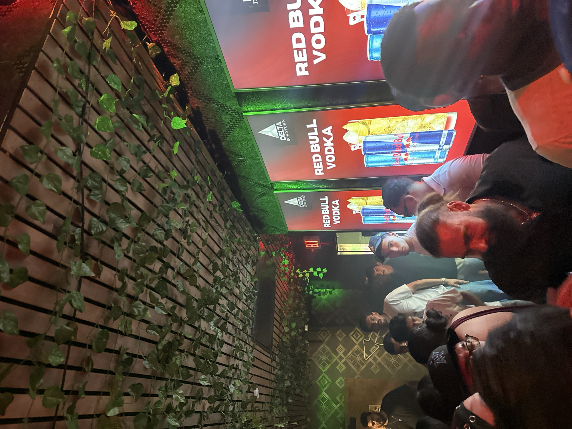 The image captures a lively bar scene, possibly in Tampa, United States, as suggested by the "Delta Downtown" logo visible on Red Bull Vodka advertisement signs. Several people are gathered, some in close proximity to one another, suggesting a crowded atmosphere. One individual wears a hat, and others have various clothing styles, indicating a diverse clientele. The "RED BULL VODKA" signage is prominently displayed, indicating a sponsored event or promotion. The environment includes decorative elements like a lattice-like wall covered with greenery, juxtaposed with geometric patterns on the interior walls. An "EXIT" sign is visible, indicating the venue's adherence to safety regulations. The overall lighting is dim, creating an ambiance suitable for a nighttime social gathering.