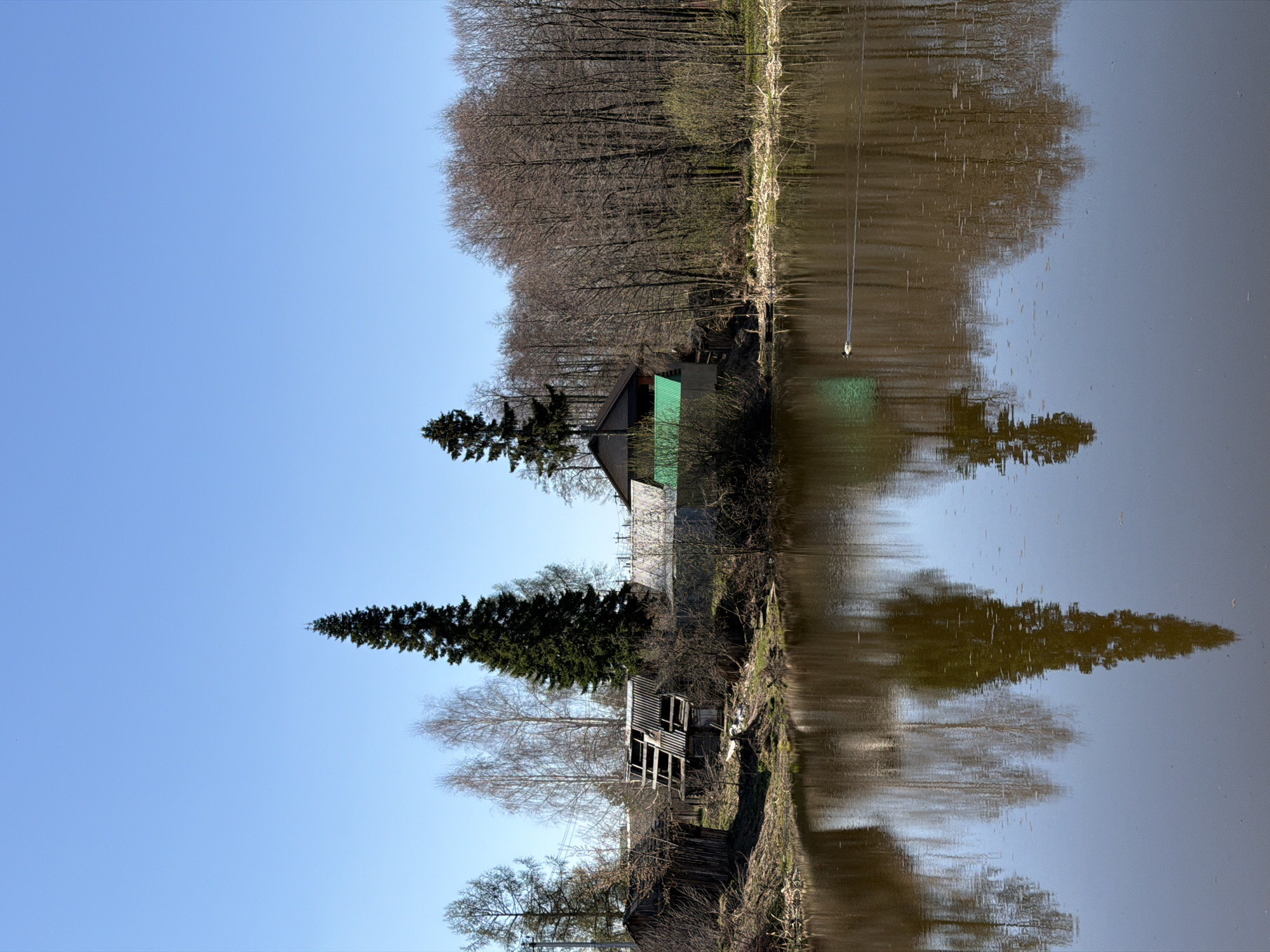 The image shows a body of water reflecting the opposite bank. The water is murky, with visible reflections of trees and buildings. On the bank, there is a mix of vegetation, including bare trees and evergreens. A building with a green roof and a partially dilapidated wooden structure are also visible. The sky above is clear and blue. The scene appears to be taken in a natural setting within an urban environment. The location is specified as Chaikovsky, Russia.