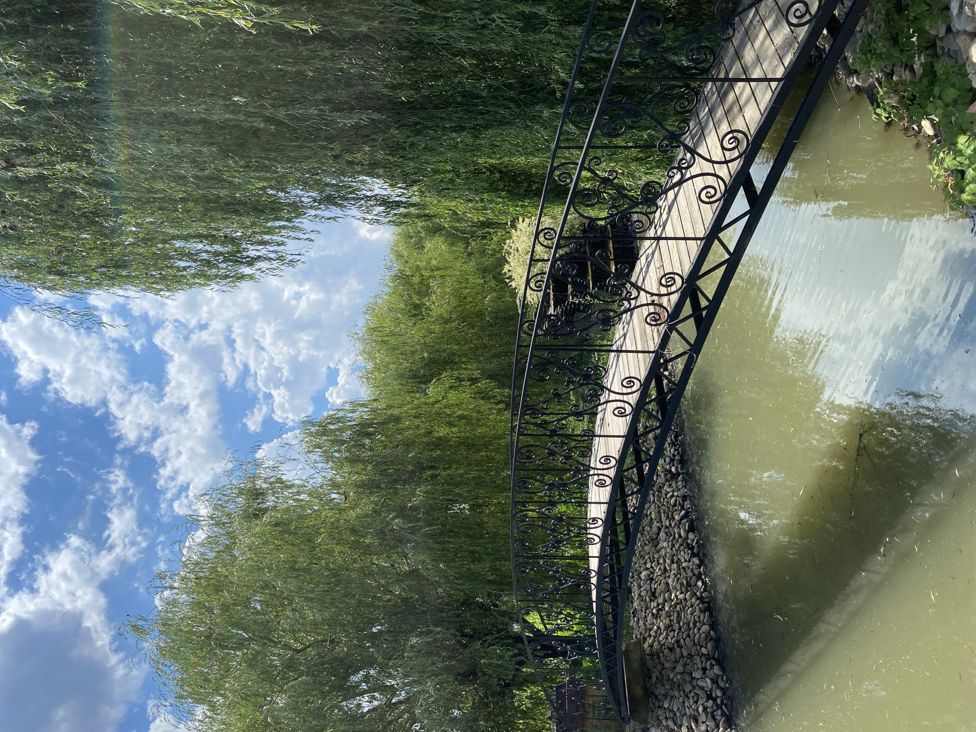 This is a vertically oriented, eye-level, medium shot of a small, ornate bridge crossing a narrow waterway. The bridge has a wooden plank deck and black wrought-iron railings with decorative swirls. The waterway is bordered by a rocky embankment on the right and lush green trees on the left. The trees, which appear to be willow trees with long, drooping branches, create a dense canopy, with glimpses of a blue sky with white, fluffy clouds peeking through. The water in the canal is murky green and reflects the sky and surrounding foliage. Small dark specks, possibly leaves or debris, are visible floating on the surface of the water.
The scene suggests a peaceful, natural setting, likely a park or garden. The time of day appears to be daytime, given the bright sunlight illuminating the scene and the presence of clouds in the sky. The weather seems to be pleasant and sunny. There are no people or animals visible in the frame. The image is rich in natural elements and conveys a sense of tranquility. The specific details of the wrought-ironwork on the bridge suggest a touch of human craftsmanship within the natural landscape. There is no visible text in the image.