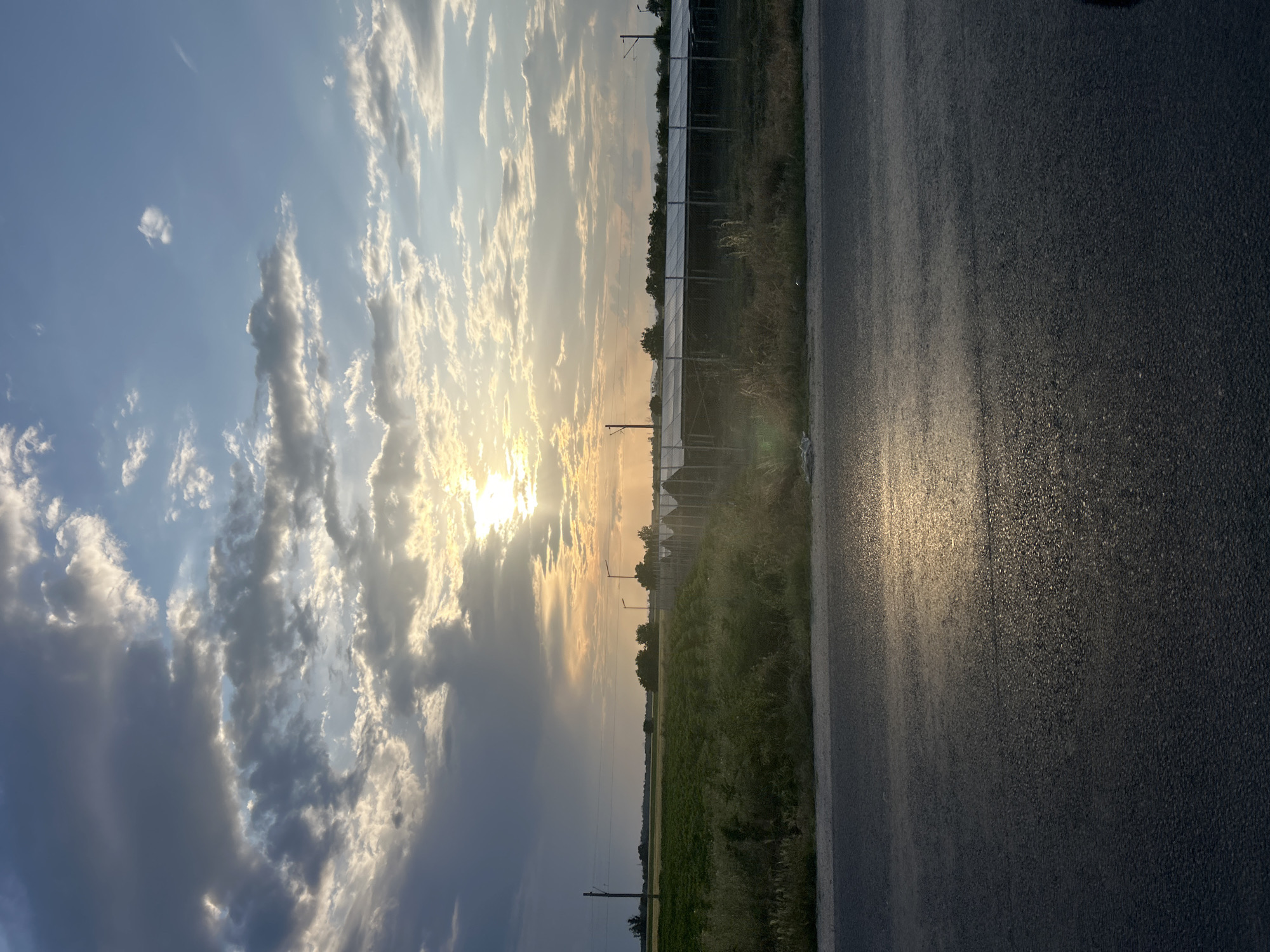 This photograph depicts a serene rural or semi-rural landscape in Graf Ignatievo, Bulgaria, captured during either sunrise or sunset. The image is oriented with the horizon running vertically, suggesting it was taken in portrait mode and then rotated.
The sky, occupying the left side of the frame, is a dramatic blend of light blue and soft golden hues, characteristic of dawn or dusk. The sun is a brilliant focal point, partially obscured by large, luminous clouds that glow with golden light, creating a dynamic interplay of light and shadow across the expansive sky. Darker, greyish clouds are also present, adding depth and contrast.
The right side of the image features an asphalt road, appearing wet and highly reflective, mirroring the bright golden light from the sun. The texture of the asphalt is clearly visible. To the left of the road, a long, dark fence, possibly chain-link, runs parallel, separating the road from the adjacent land. Behind this fence, an extensive array of industrial-scale solar panels stretches across the landscape. The area around the fence and solar panels is covered with a mix of green and dry vegetation, including grass and bushes. In the distance, along the horizon, faint outlines of trees and what appear to be utility poles or streetlights are visible.
The overall scene conveys a tranquil atmosphere, marked by the striking natural light and the blend of human infrastructure (road, fence, solar panels) within a natural setting. There is no visible text in the image, and no specific human activity is depicted.