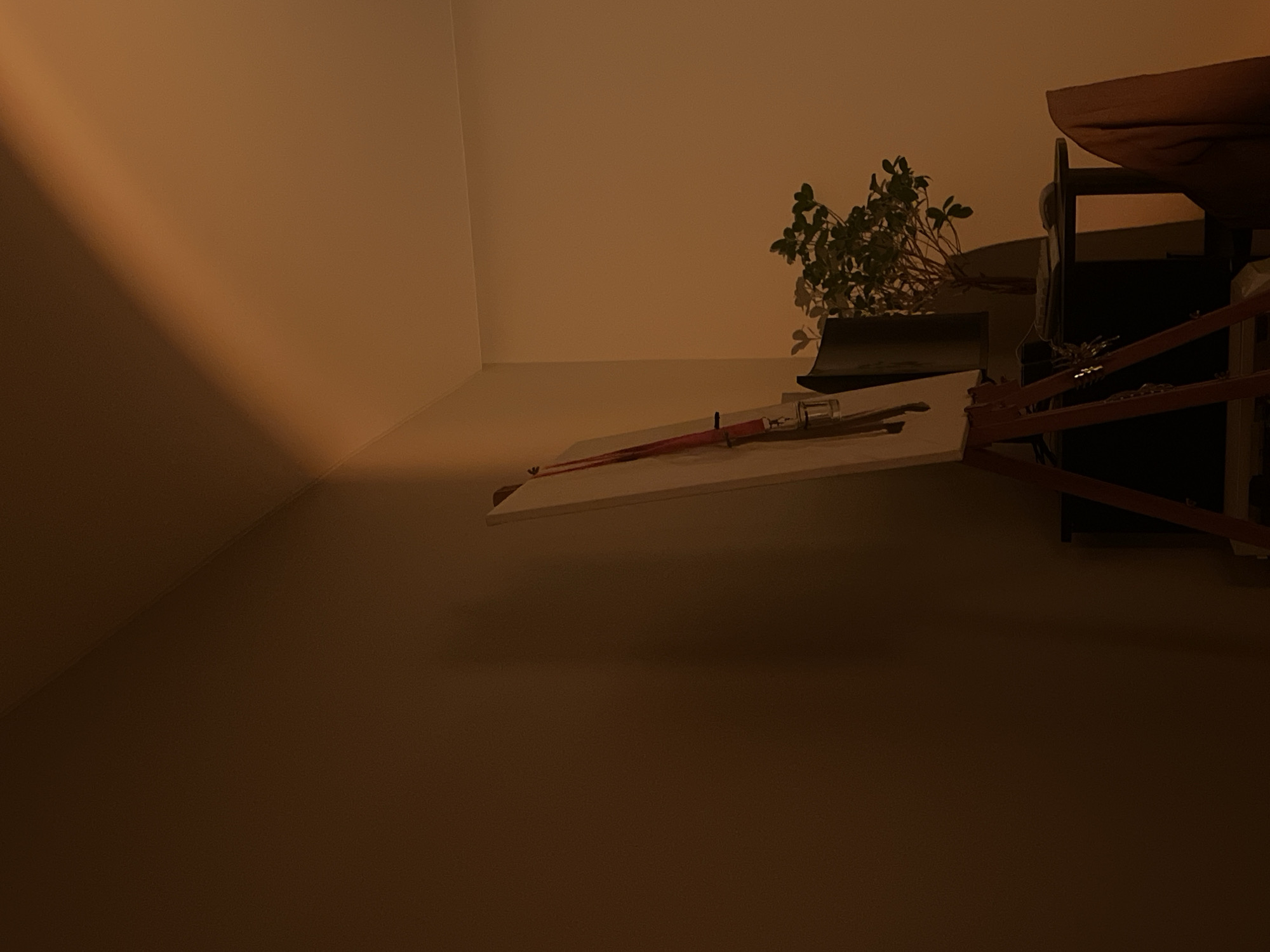The image shows a sparsely furnished interior. A white shelf or table is positioned against a wall. On the shelf, there are what appear to be a pair of chopsticks, a small clear vial or tube, and a potted plant with green foliage. Adjacent to the shelf, a piece of furniture, possibly a cabinet or table, with dark-colored elements and wooden supports can be seen. The illumination in the image is dim, with a warm, orange hue casting shadows across the walls and floor. The overall tone is muted and subdued. There is no indication of the location of the image being in Ternopil, Ukraine.