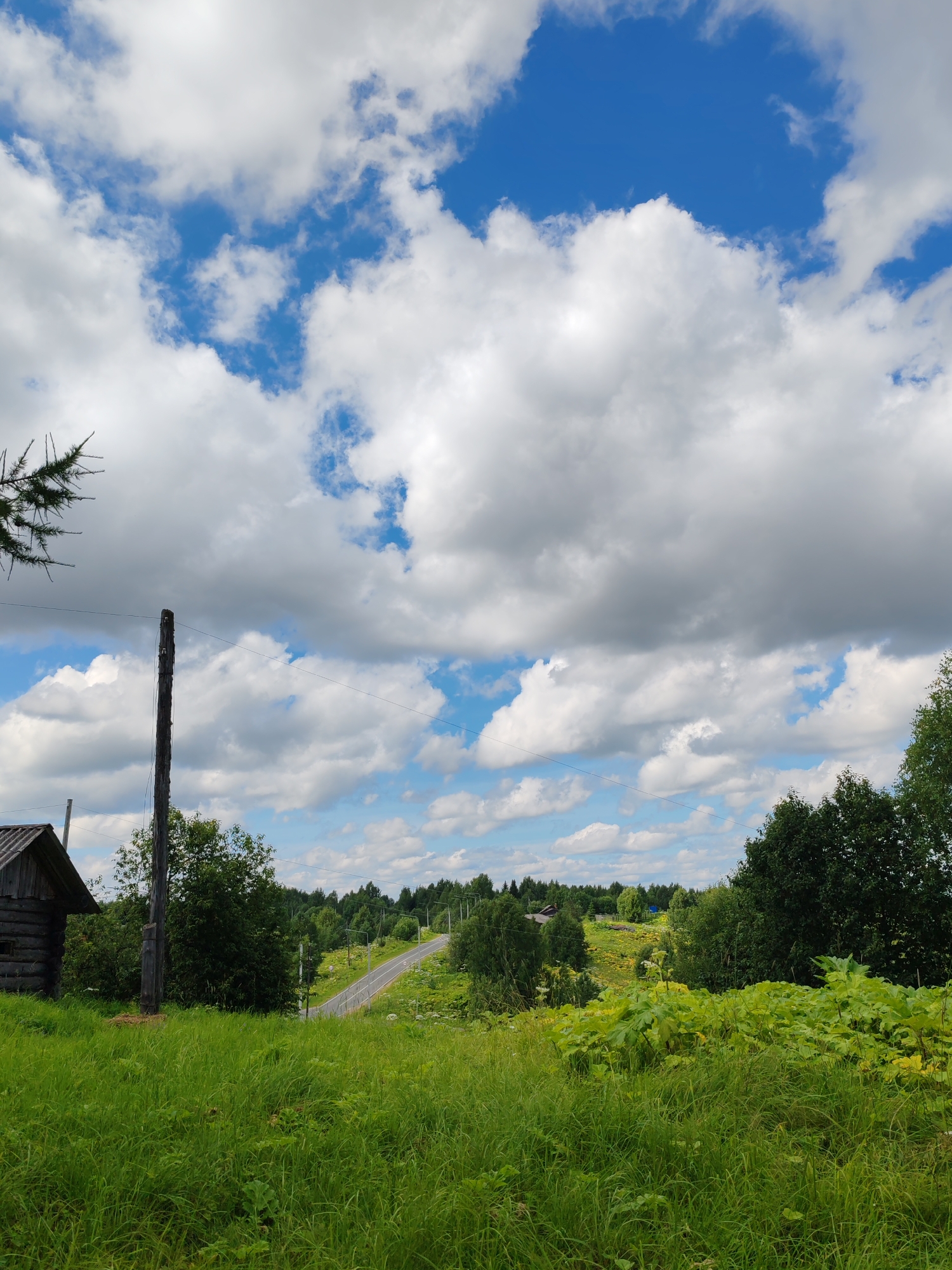 The image depicts a rural landscape under a partly cloudy sky in the vicinity of Chukhlem, Russia. In the foreground, a grassy area with tall green grass occupies the bottom third of the frame. To the left, a small, rustic wooden structure with a dark roof is visible. A tall wooden utility pole with wires stretches vertically near the center of the image. Beyond the foreground, a paved road curves upwards into a wooded area. The landscape is characterized by lush greenery, with trees and vegetation lining the road and extending into the distance. The sky is a vibrant blue, interspersed with large, fluffy white clouds and some darker grey clouds. The overall impression is one of a tranquil, natural setting in a rural Russian environment. There are no people or animals visible in the image.