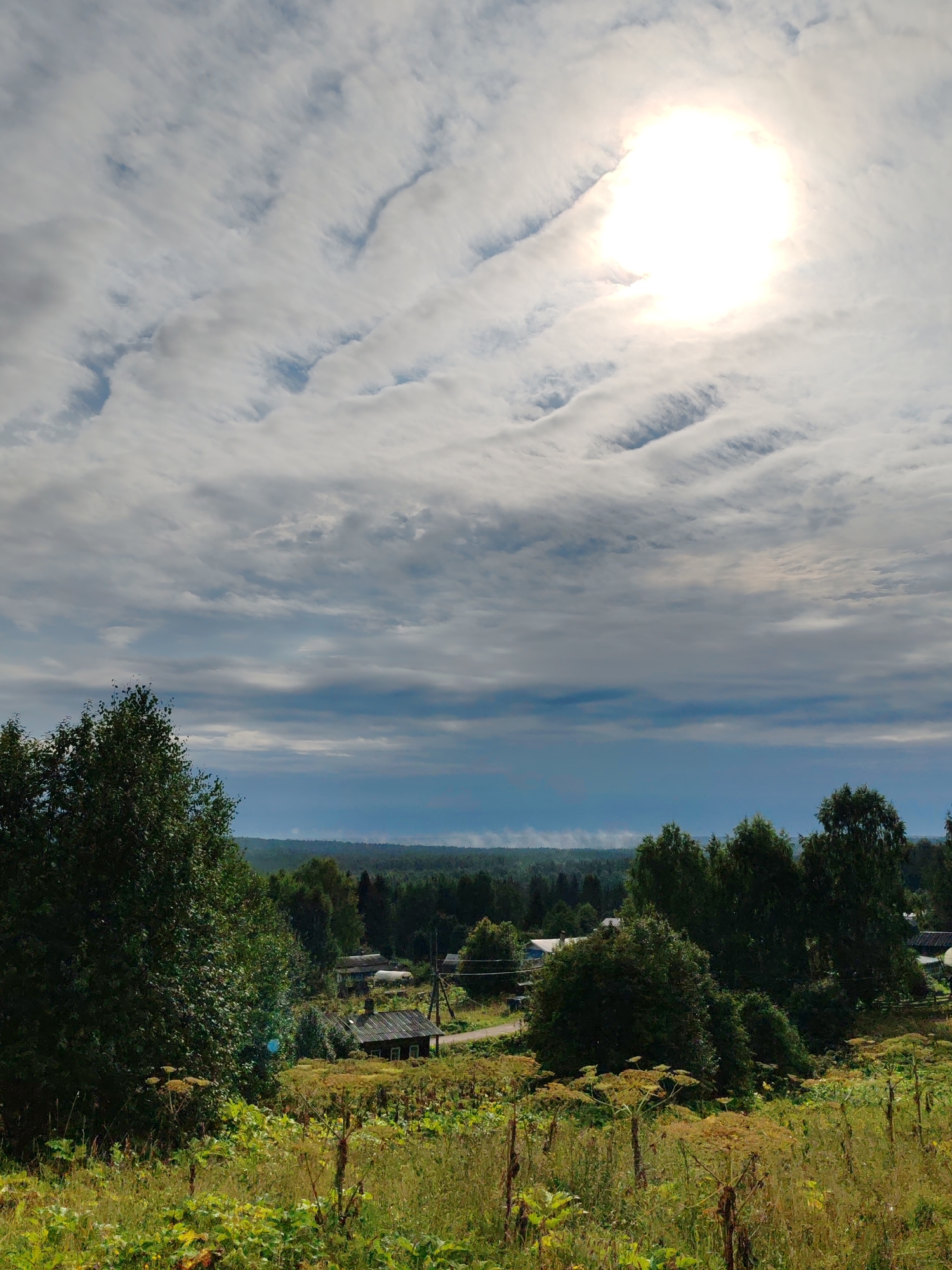 The image depicts a rural landscape in Chukhlem, Russia, under a cloudy sky with the sun partially obscured. The foreground is dominated by tall, dry grass and flowering plants, with a large, leafy green tree on the left. In the middle ground, a cluster of rustic wooden houses with dark roofs are visible amongst more trees. A dirt road winds through the scene, and further in the distance, a dense forest stretches across the horizon. The sky is filled with a mix of white and grey clouds, with a bright, circular area indicating the sun's presence.