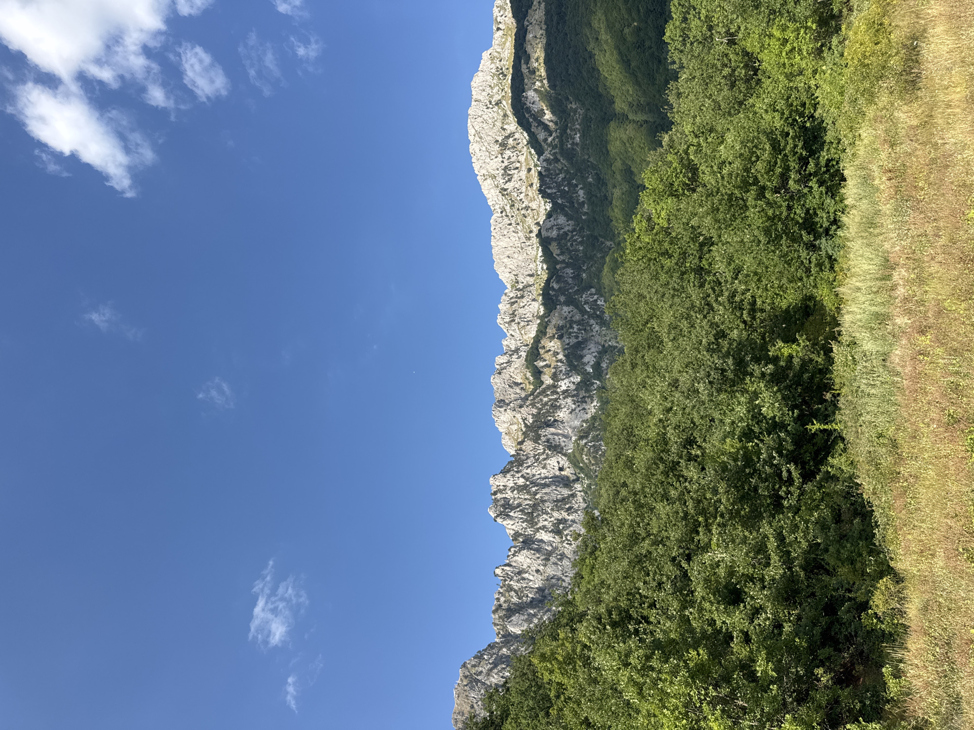 A wide, natural landscape view captured on a clear, sunny day. The top half of the image is dominated by a vibrant, cloudless blue sky, with a few wispy white clouds scattered near the top right. The lower half of the image features a range of rugged, light-colored mountains, their peaks jagged and rocky, catching the sunlight. The slopes of the mountains are covered in lush, dark green trees, with areas of shadow indicating the natural contours of the terrain. In the foreground, a dense, verdant forest of trees stretches across the middle ground, their leaves a rich green hue. Below the forest, a field of dry, golden grass and other vegetation occupies the bottom of the frame. The scene is devoid of any people or man-made structures, presenting a purely natural environment. The location is identified as being within the city of Dragovića Polje, Montenegro.