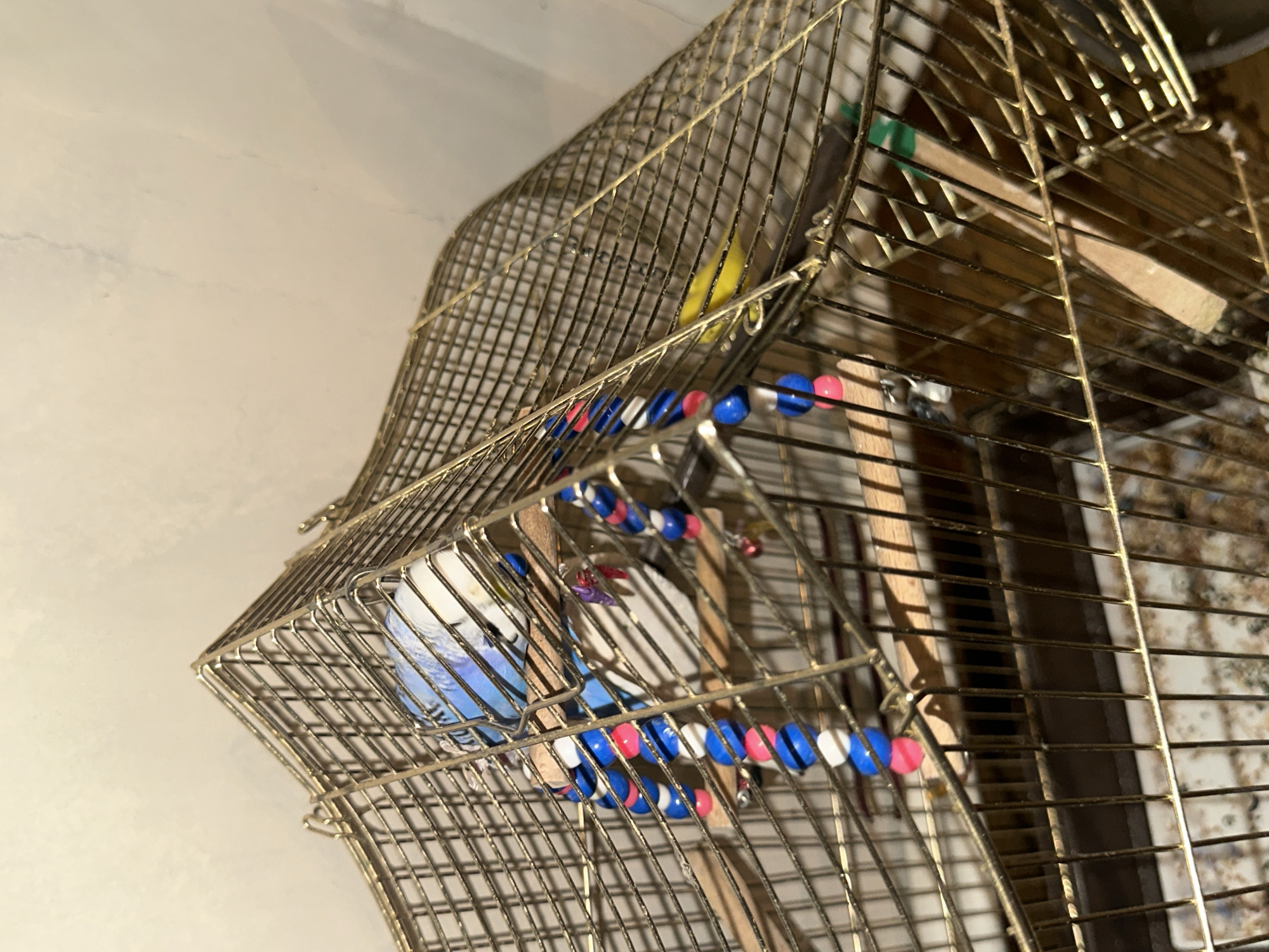 A blue and white budgerigar is perched on a wooden dowel inside a brass birdcage. The bird is facing to the right, with its head turned towards the viewer. The cage is filled with colorful toys made of beads, including red, white, and blue ones. In the background, a yellow budgerigar is visible on another perch. The cage sits on a patterned surface, possibly a tablecloth or newspaper. The lighting is dim, casting shadows within the cage. The location is unknown, and the environment appears to be indoors.
