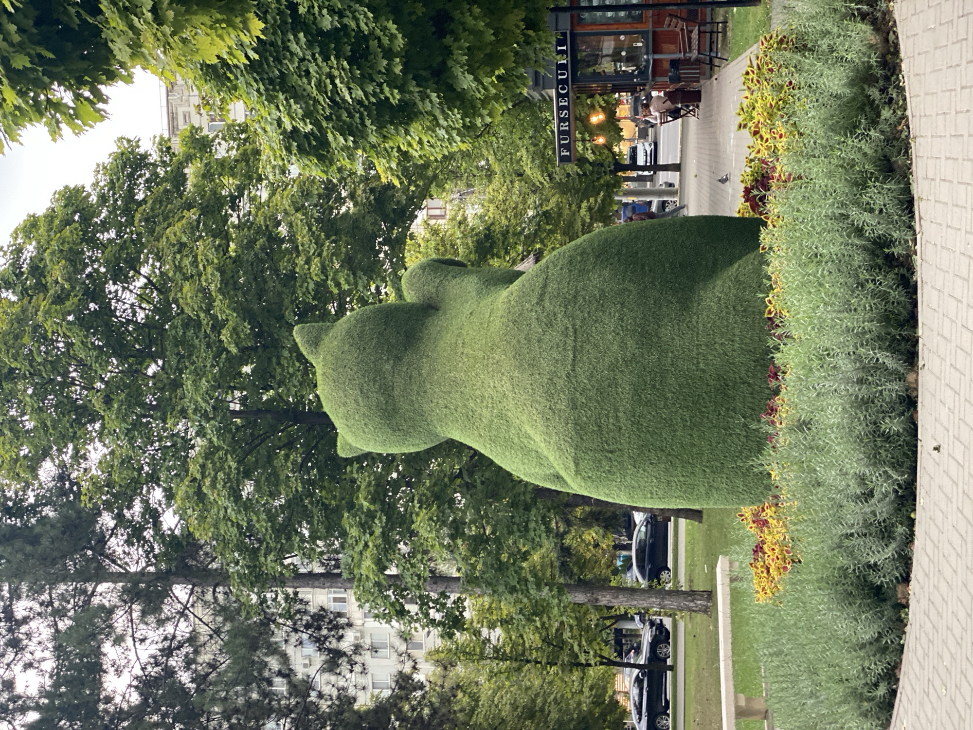 The image shows a large topiary sculpture of a cat in a park setting in Chișinău, Moldova. The sculpture is made of dense green shrubbery and is positioned in the center of a flower bed with red and yellow flowers. Behind the sculpture, there are trees, a building, and a street with cars. A sidewalk with a bench is visible to the left of the sculpture. To the right, there is a cafe with outdoor seating and people sitting at tables. The sky is overcast. The sculpture is viewed from behind, showing its back, head, and a paw.