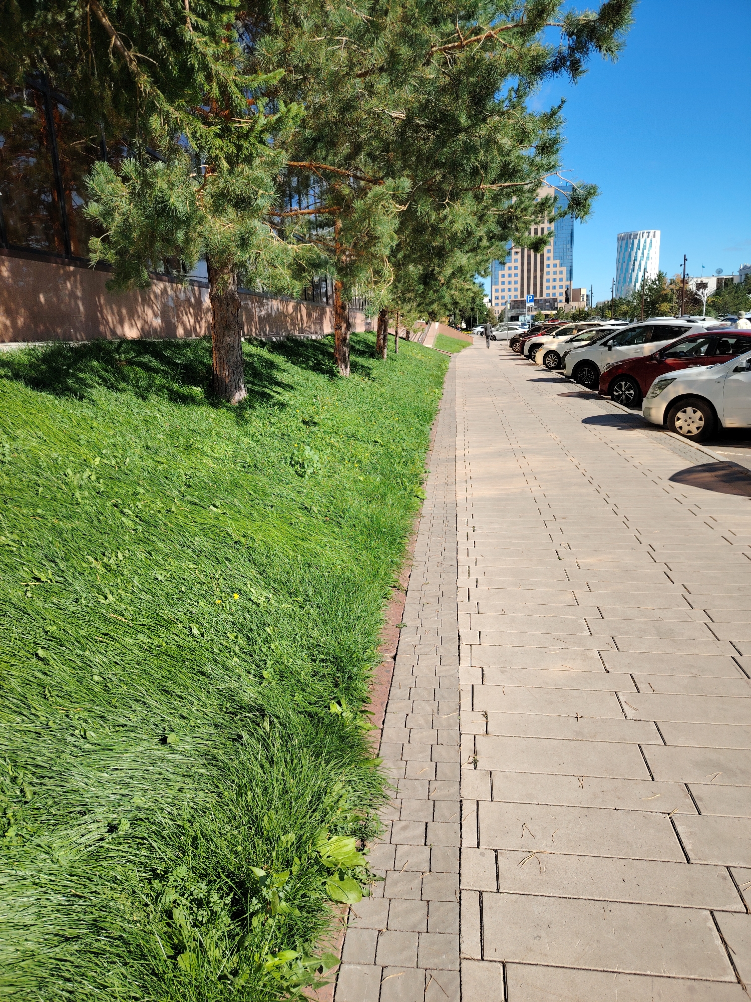 The image depicts a paved walkway with a line of parked cars on the right and a grassy slope with trees on the left. The walkway is made of rectangular concrete pavers. The cars are white, red, and silver. Behind the cars, several modern buildings are visible, including a tall glass skyscraper and a white building with a distinctive curved design. A few people are walking on the walkway in the distance. The grass is green and appears to be recently mown. The scene is bathed in bright sunlight, and the sky is clear blue. The trees are coniferous. This scene is consistent with an urban environment in Astana, Kazakhstan, possibly in a business or residential district.