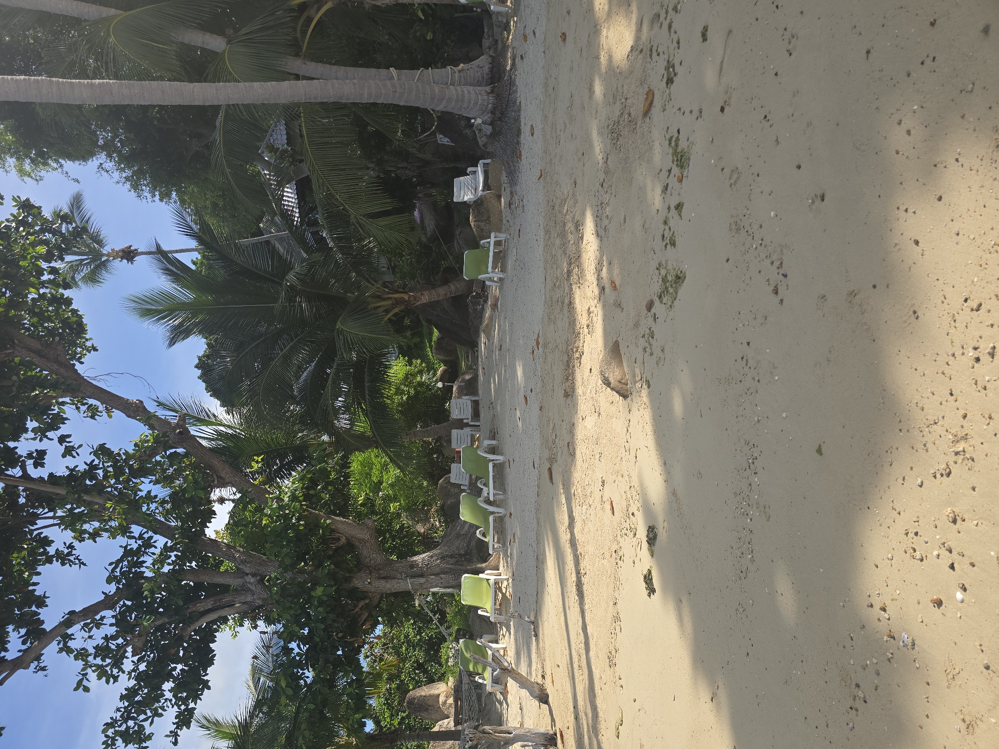 This is a medium shot, eye-level, full outdoor photograph of a tropical beach in Baan Chaweng Noi, Thailand. The scene is dominated by a sandy beach in the foreground, with several empty white and lime green lounge chairs arranged on the sand. Behind the chairs, lush green vegetation, including palm trees and large trees with dense foliage, creates a natural backdrop. In the upper right, a portion of a building with a tiled roof is visible through the palm fronds. The sky is blue with some scattered white clouds. The lighting suggests it is daytime. There are no people or animals visible in the frame. The sand is light brown and shows scattered small pebbles and green seaweed. Shadows from the trees are cast across the sand.