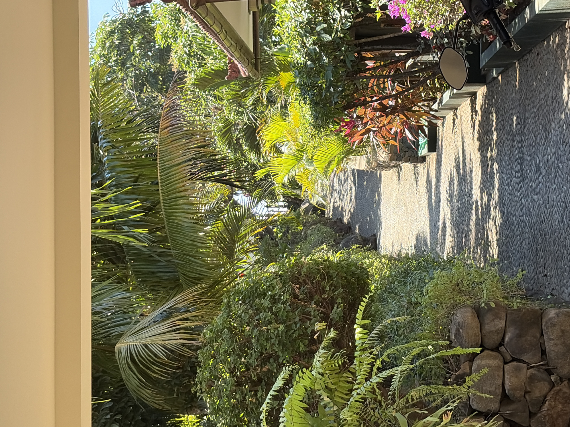A shaded, narrow cobblestone pathway, lined with lush tropical vegetation, leads through a resort or private property in Abang, Indonesia. The pathway is illuminated by dappled sunlight filtering through palm fronds and other dense foliage. To the left, a low stone wall supports an abundance of ferns and green bushes. To the right, the pathway is bordered by vibrant red-leafed plants, flowering bougainvillea in shades of pink and purple, and more green bushes. A portion of a building with a tiled roof is visible on the far right, suggesting it is a dwelling or accommodation. A motorcycle mirror is also visible on the right side of the frame, indicating the presence of a parked vehicle. The sky above is a clear blue.