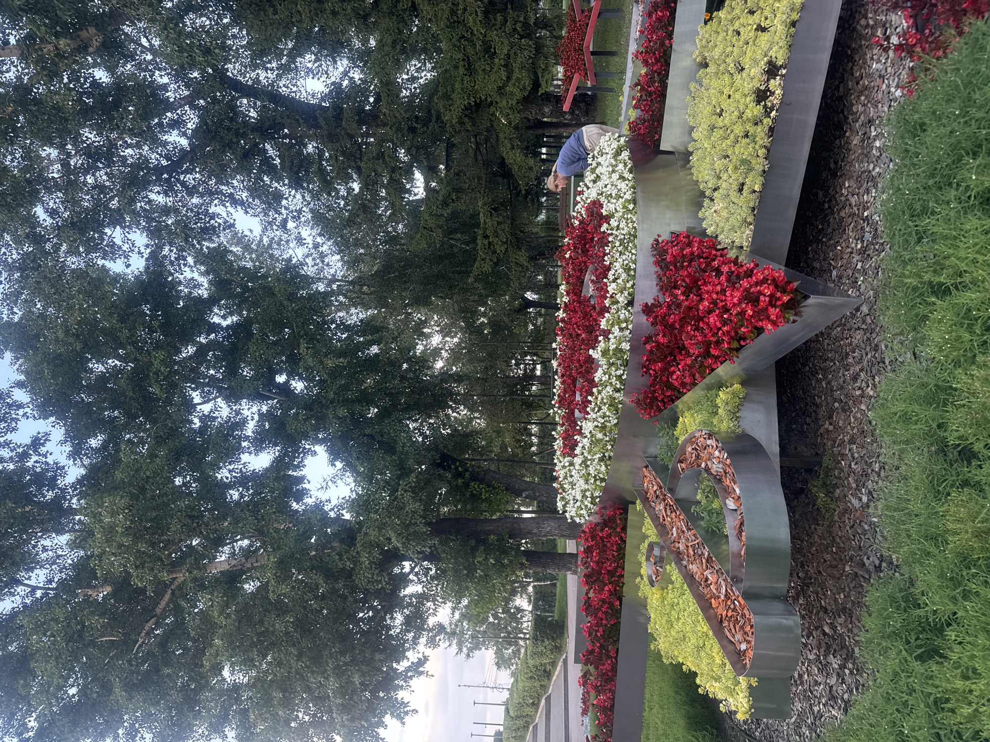 The image depicts a park scene in the city of Irkutsk, Russia, likely in the summer or early autumn, given the lush greenery and blooming flowers. In the foreground, a modern art installation composed of metallic geometric shapes serves as a planter. These planters are filled with a vibrant display of red and white begonias, as well as bright yellow-green foliage plants. A person, appearing to be a woman with blonde hair, is tending to the flowers in the central planter, wearing a blue long-sleeved shirt and light-colored pants.
Behind the floral display, large, mature trees with dense green canopies dominate the background, suggesting a well-established park or garden. The sky is a pale blue, indicating daylight. To the left, a paved walkway or steps ascend a grassy slope, bordered by neatly trimmed hedges, hinting at a landscaped area within the park. The overall impression is one of a well-maintained public space designed for relaxation and aesthetic enjoyment, with a focus on floral arrangements and natural elements. The metallic structure of the planters adds a contemporary touch to the natural setting.