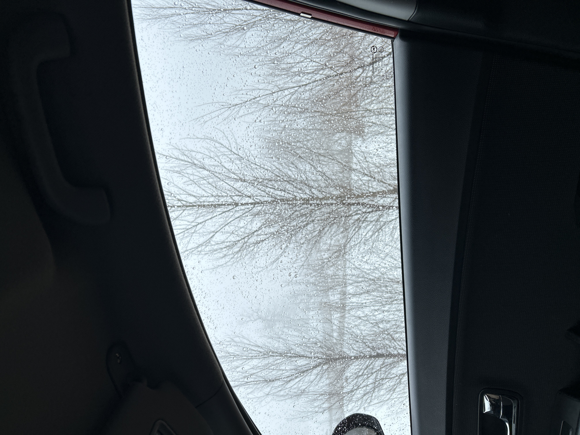A view from inside a vehicle looking out through a window covered in raindrops. Bare tree branches are visible through the wet glass, suggesting a cold or rainy day. The vehicle's interior, including the ceiling, trim, and part of a handle, frame the window. The scene is likely located in Уральское, Russia.