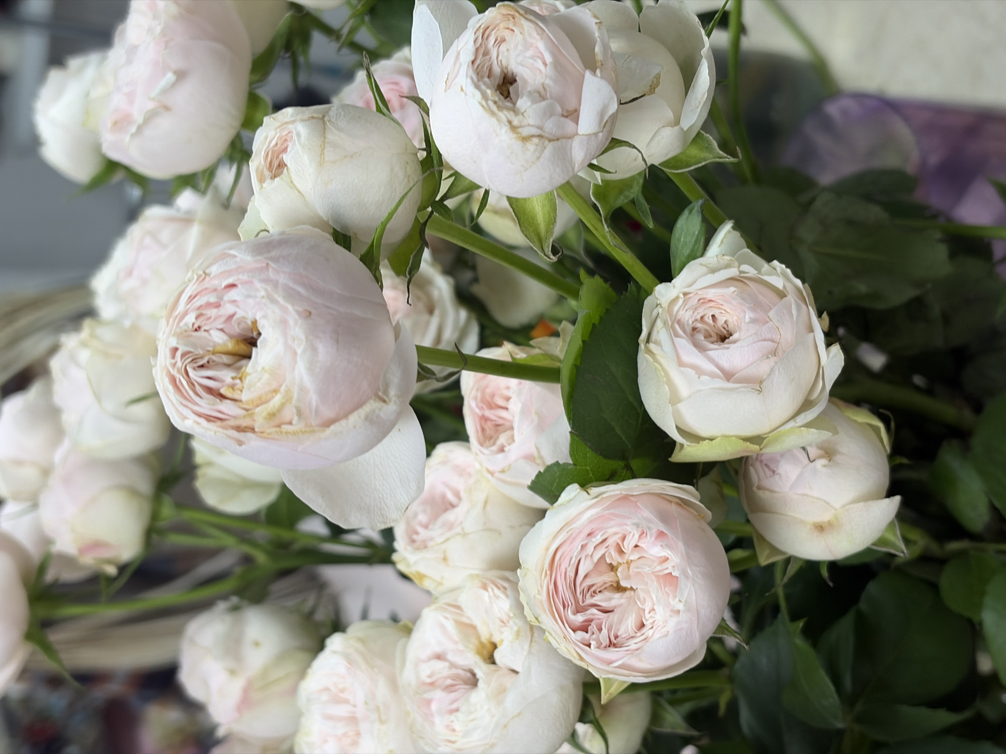 A close-up shot captures a bouquet of white roses, some with a delicate blush of pink at their centers. The flowers are tightly clustered together, with green leaves peeking through the blooms. The background is slightly blurred. The location and the city of Minsk, Belarus are not determinable from this image.