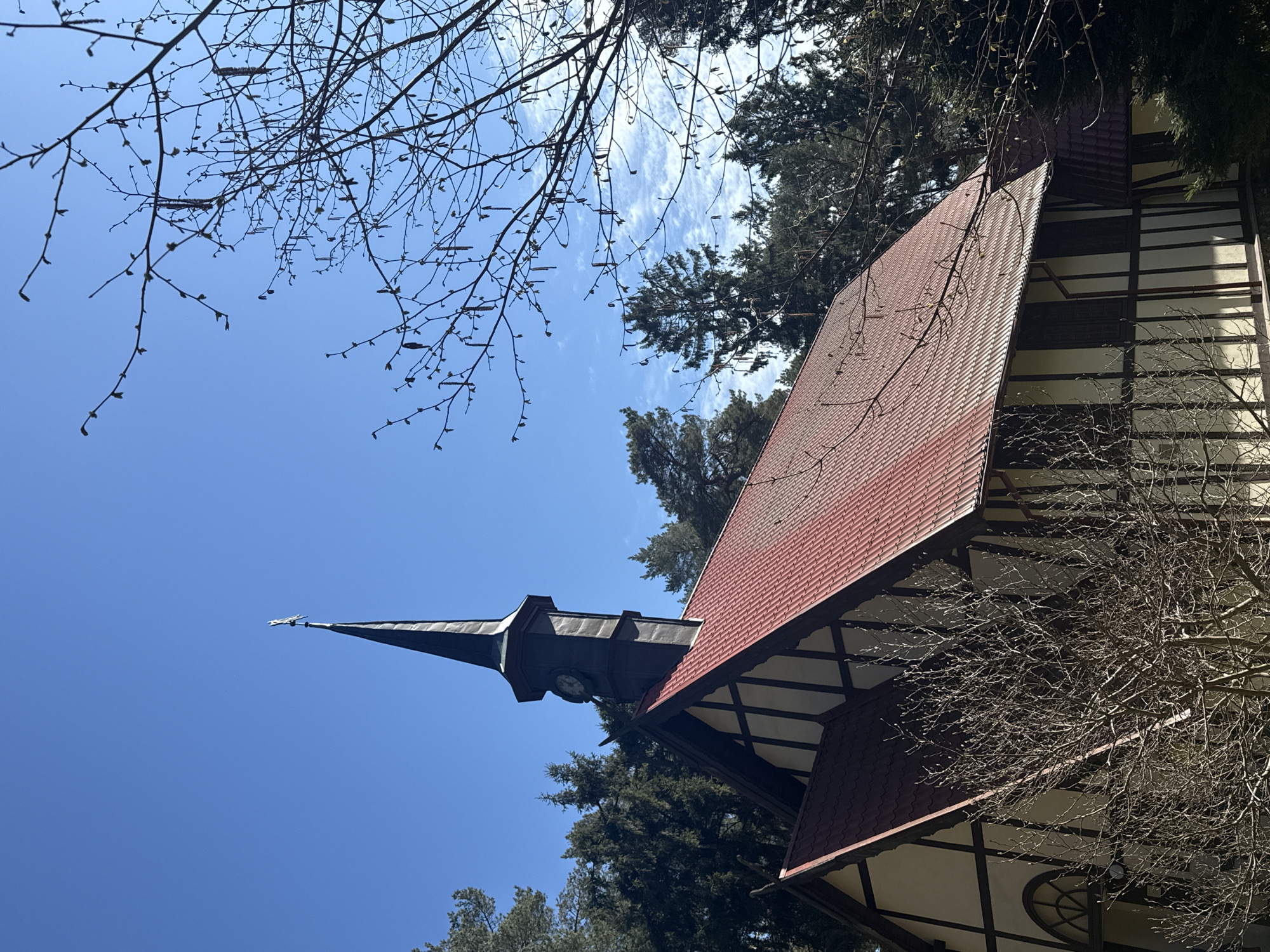 The image shows a low-angle view of a church in Svetlogorsk, Russia. The church features a tall, dark steeple with a clock face and a cross at the top. A portion of the building is visible with a red-tiled roof and a timber-framed wall design. Bare tree branches frame the image on both sides. The sky is blue with wispy clouds. Evergreen trees are visible behind the church building.