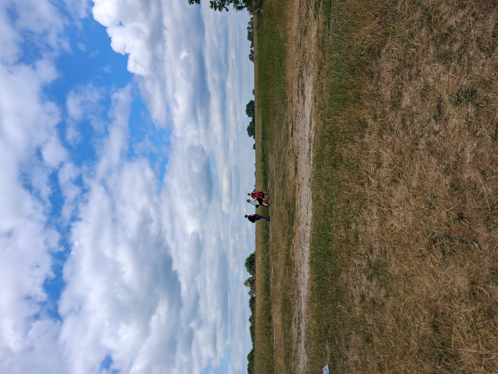 The media file depicts a horizontal, ground-level outdoor scene featuring a grassy field under a partly cloudy sky. The image is oriented sideways, with the sky occupying the left side and the field the right. Several people are visible in the distance on the field, appearing to be engaged in some activity. One group of three individuals, two in red shirts and one in white, are closer together, while a fourth person in a black shirt stands slightly apart. The field itself is a mix of dry, golden grass and patches of greener vegetation, suggesting a rural or park-like setting. A dirt path or track runs diagonally across the field. The sky is dominated by large, fluffy white clouds against a bright blue background, indicating a sunny day. The lighting suggests it is daytime, likely mid-afternoon given the brightness. The overall mood appears casual and relaxed, with the people enjoying the outdoor space. No text is visible in the image. The location context suggests this scene is in Reutyntsi, Ukraine.