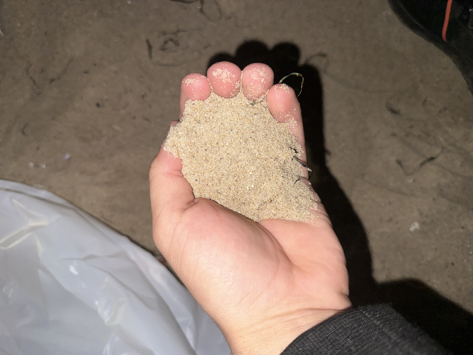 A light-skinned human hand, likely an adult's, is centered, cupping a significant amount of fine, light brown sand. The fingers are partially closed, retaining the sand, with scattered grains adhering to the skin. Small, dark strands of organic matter, consistent with dried grass or seaweed, are intermingled within the sand. A dark, possibly black, fabric sleeve or cuff is visible on the left side of the hand, covering the wrist area. In the upper left quadrant, a crumpled white plastic bag or sheet is partially observed. The ground surface, visible in the background and lower right, consists of a dark, textured material, consistent with damp sand or dirt, exhibiting subtle variations and scattered indistinct debris. A dark shoe with a red stripe is partially visible in the bottom right corner of the frame. A prominent shadow is cast directly beneath the hand onto the ground. The scene appears to be illuminated by an artificial light source or captured in low natural light. This interaction with sand strongly indicates a beach environment within the city of Varna, Bulgaria.