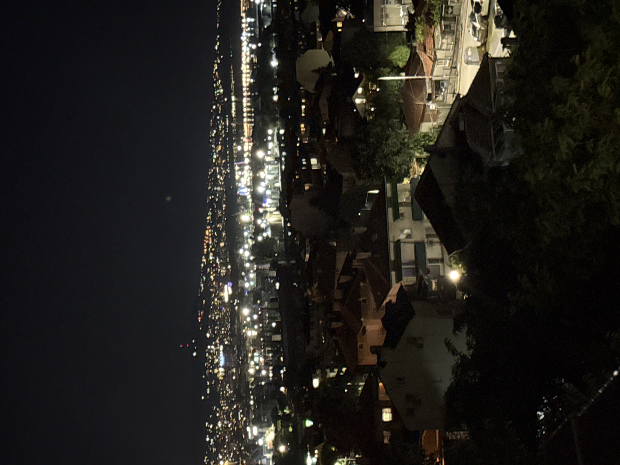 A nighttime aerial view shows a city illuminated by a multitude of lights. The foreground is dominated by dark foliage and the rooftops of several buildings with visible windows. In the midground, more buildings with various architectural styles are visible, some with lit windows. Beyond these, a dense urban landscape stretches into the distance, characterized by a vast expanse of twinkling lights. A body of water or a large open area with lights reflecting on its surface is discernible in the background, with a distant skyline of further illuminated structures. The sky above is dark and clear.