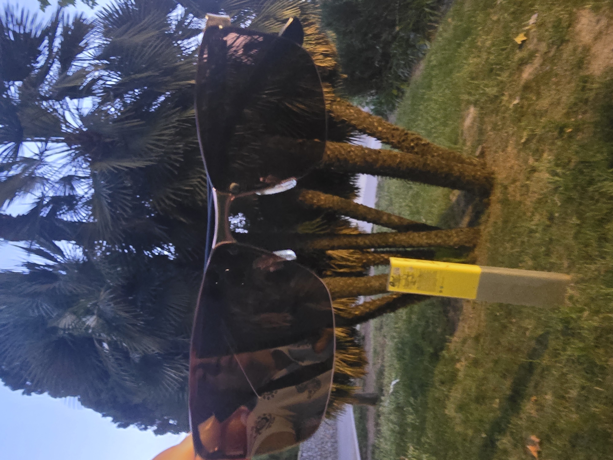 The image features an oversized pair of sunglasses held up against a backdrop of palm trees and greenery. The scene is likely outdoors, with a view of a park or garden setting. A yellow and grey rectangular object appears behind the glasses and in front of the grass. The reflection in the lenses of the sunglasses suggests the presence of a person holding the glasses. The location is Cornellà De Llobregat, Spain.