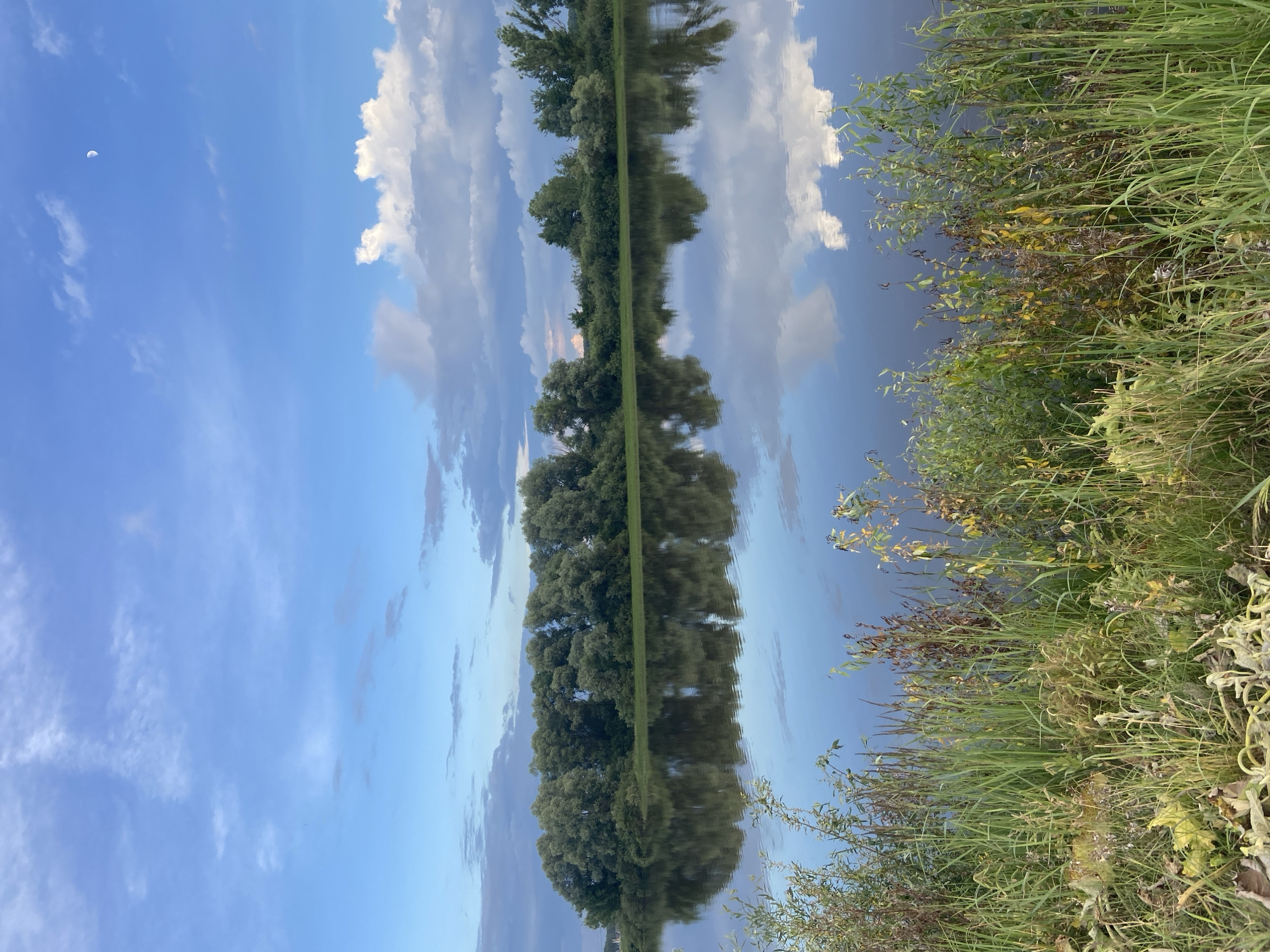 An exterior medium shot captures a serene landscape in the village of Yusupovo, Russia. The image is dominated by a tranquil body of water reflecting the sky and a lush, tree-lined bank. The sky above is a vibrant blue, dotted with scattered white clouds and a sliver of the moon visible in the upper right quadrant. The water's surface is still, providing a clear mirror image of the dense green foliage and the sky. The foreground is characterized by tall, dry grasses and some fallen leaves, suggesting a late summer or early autumn setting. The overall impression is one of natural beauty and peacefulness, with no human presence or activity evident.