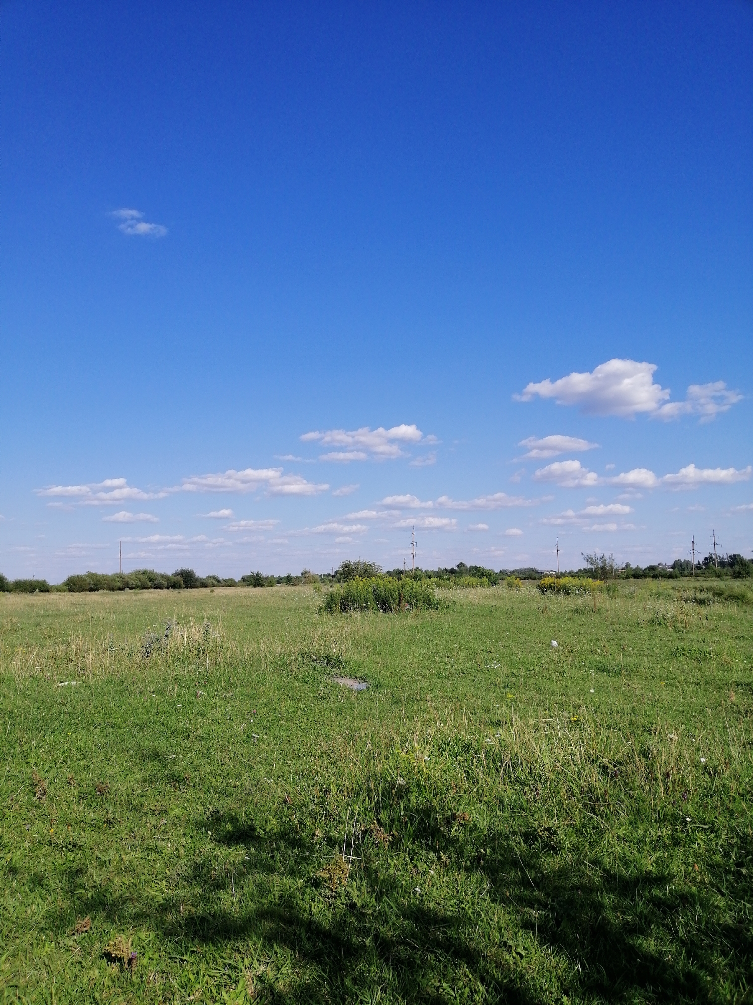 The image depicts a wide, grassy field under a clear blue sky with scattered white clouds. The field is primarily covered in green grass with some patches of taller, dry grass. In the middle ground, there is a line of trees and bushes forming a distant horizon. Several utility poles with power lines are visible interspersed along the horizon. The foreground shows a darker shadow cast by an unseen object, likely a tree, on the grass. The scene appears to be a rural or semi-rural area, consistent with the location of Krasnoluka, Ukraine, which is known for its agricultural landscape. There are no people or animals visible in the frame. The overall impression is one of a sunny day in an open, natural setting.