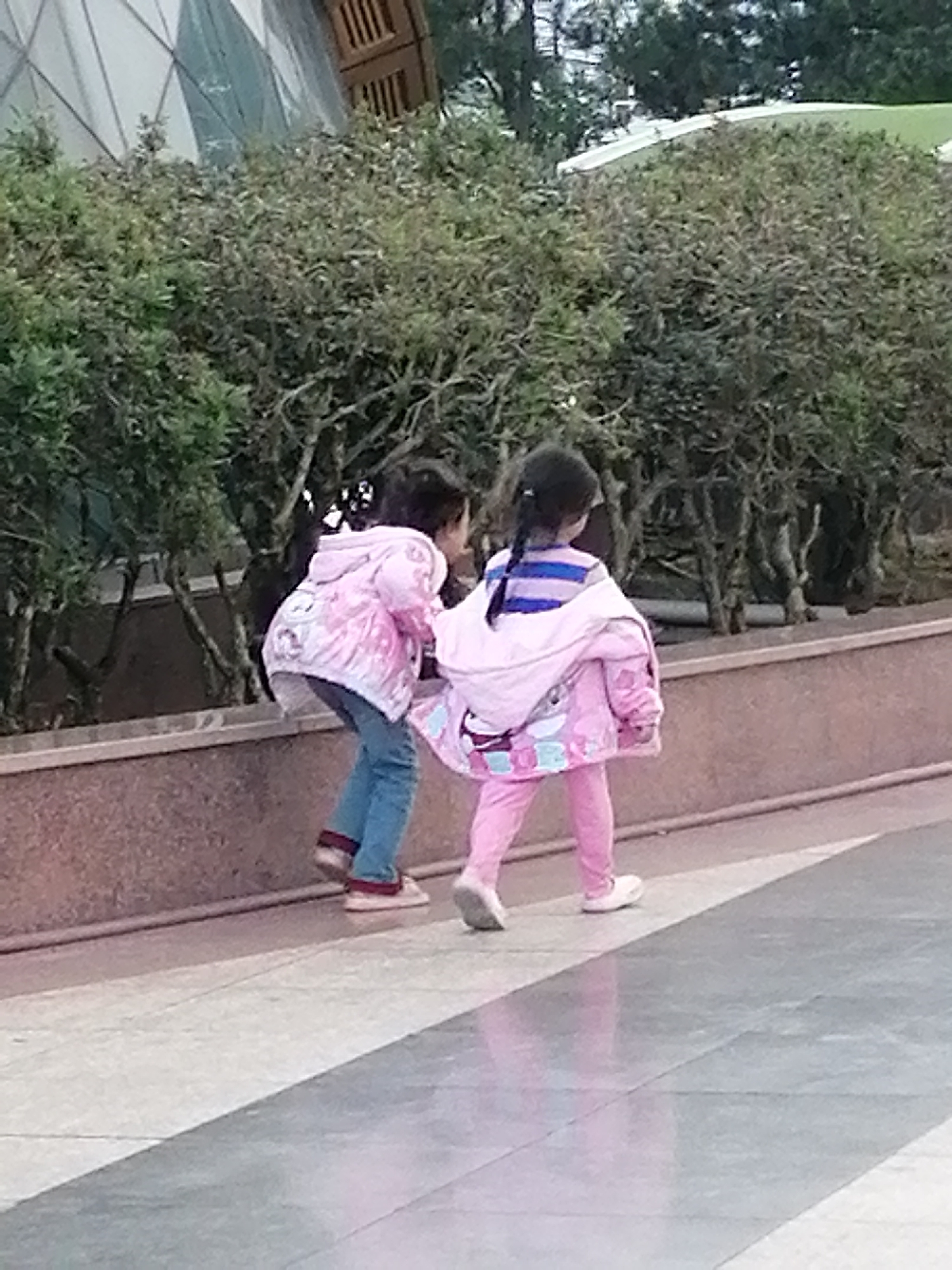 In Da Lat, Vietnam, two young girls are walking outdoors. The girl on the left wears a pink jacket with cartoon characters, blue jeans, and white shoes with red accents. The girl on the right is dressed in a striped long-sleeved shirt, pink pants, and white shoes, with a pink jacket draped over her shoulders. They are walking along a paved pathway next to a low, reddish-brown wall. Behind them, dense green bushes line the wall, and further back, a modern building with a glass facade and wooden elements is visible. The ground is a mix of grey and white paving stones, reflecting the overhead light. The overall scene suggests a leisurely stroll in an urban park or public space.